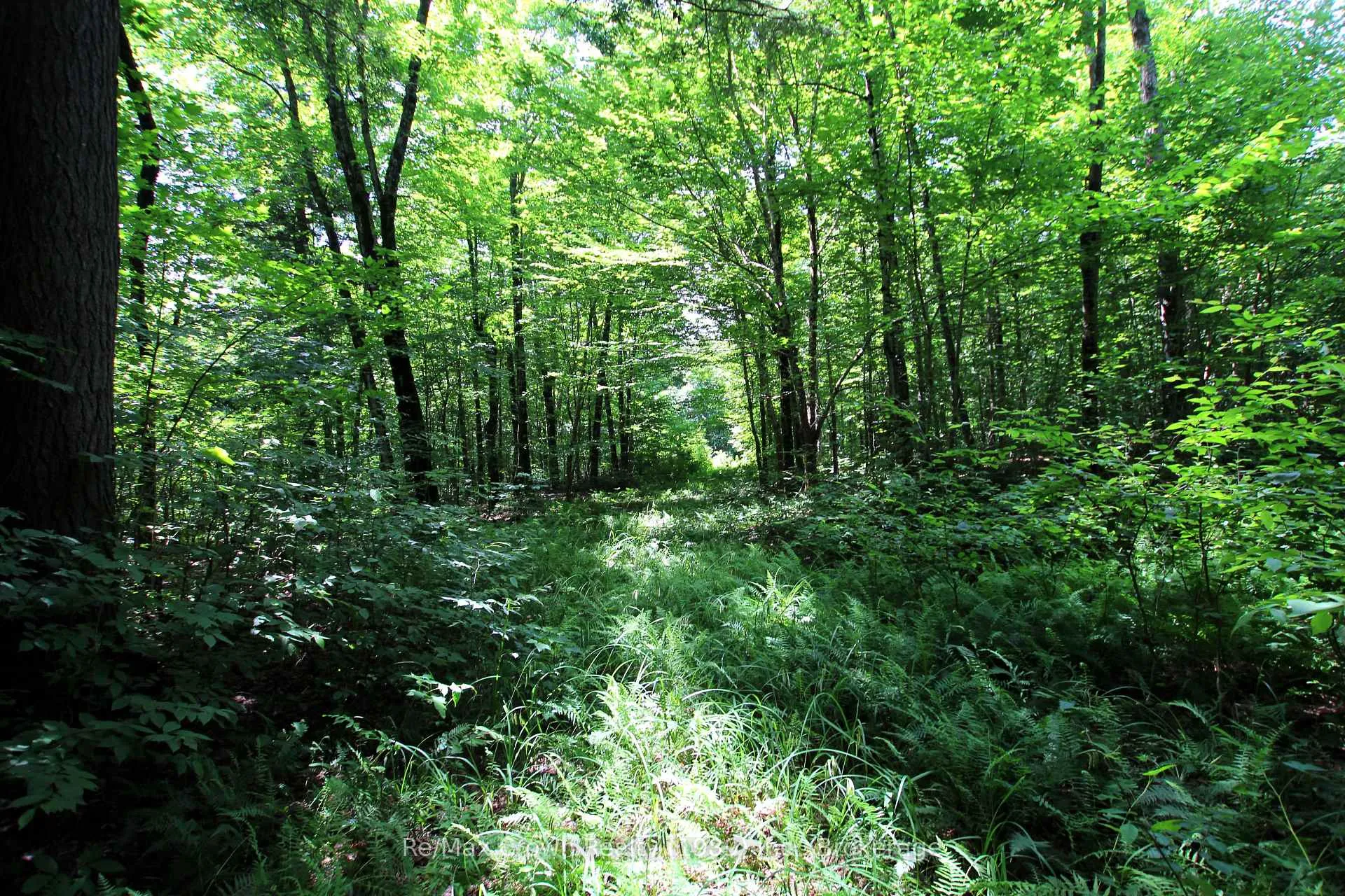 Photo 11 of 20th Side Road, Parry Sound Remote Area, McConkey — HOMEH