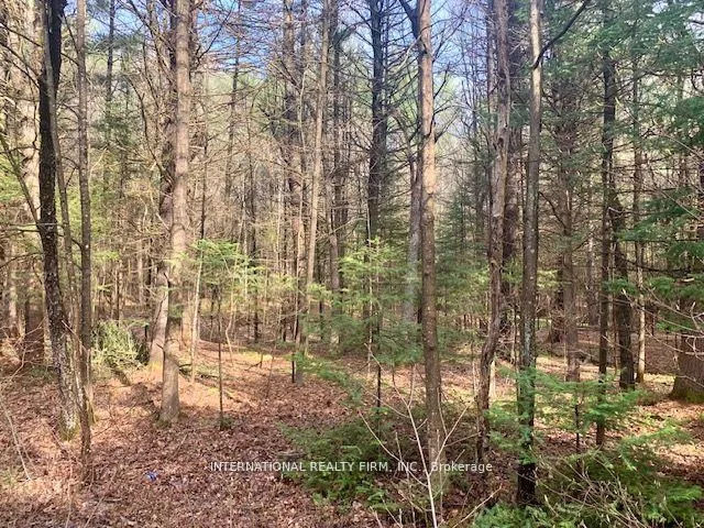 Photo 2 of The Ave Road N, Kawartha Lakes, Kinmount — HOMEH
