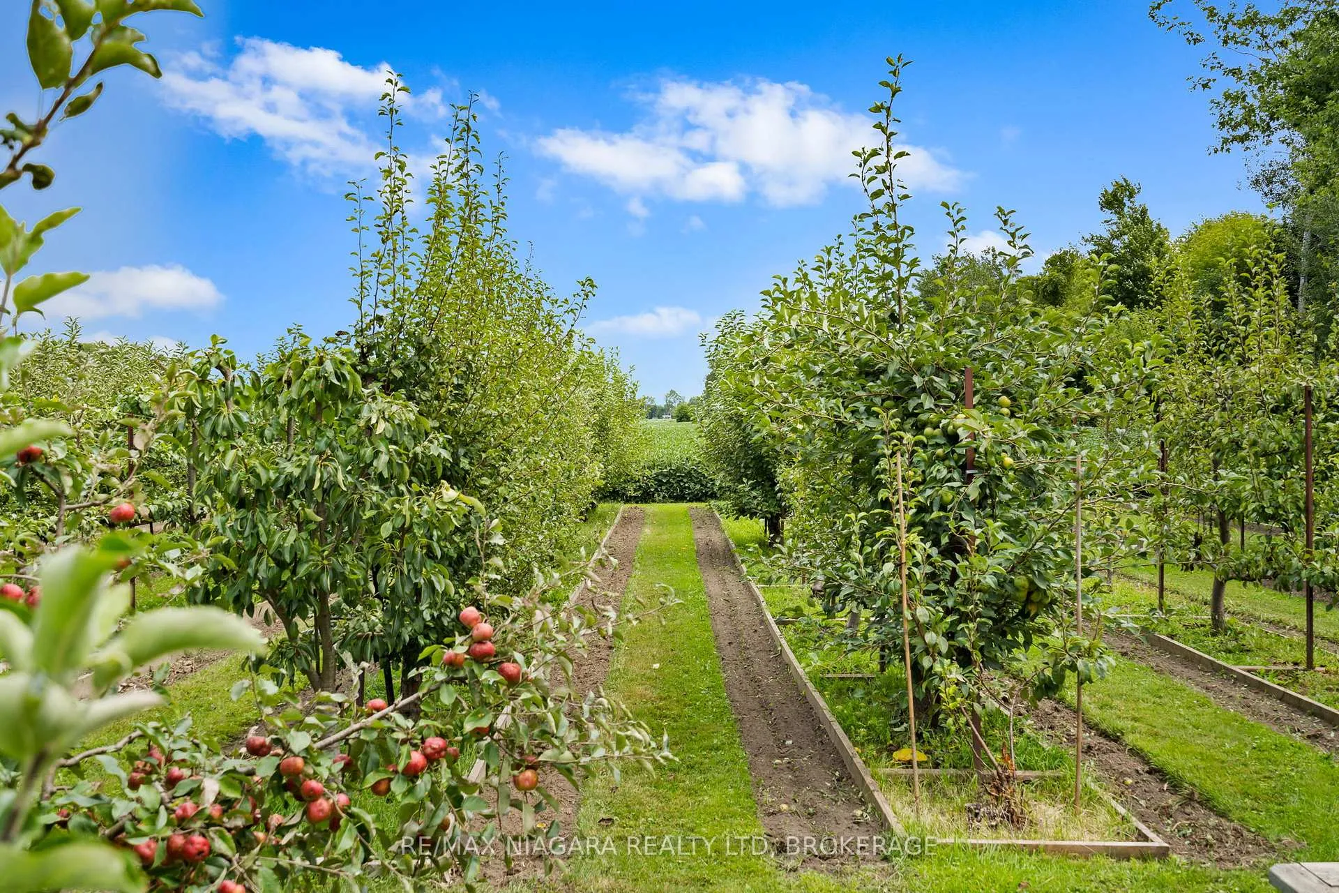 Photo 7 of 63023 Perry Road, Wainfleet, Marshville/Winger — HOMEH