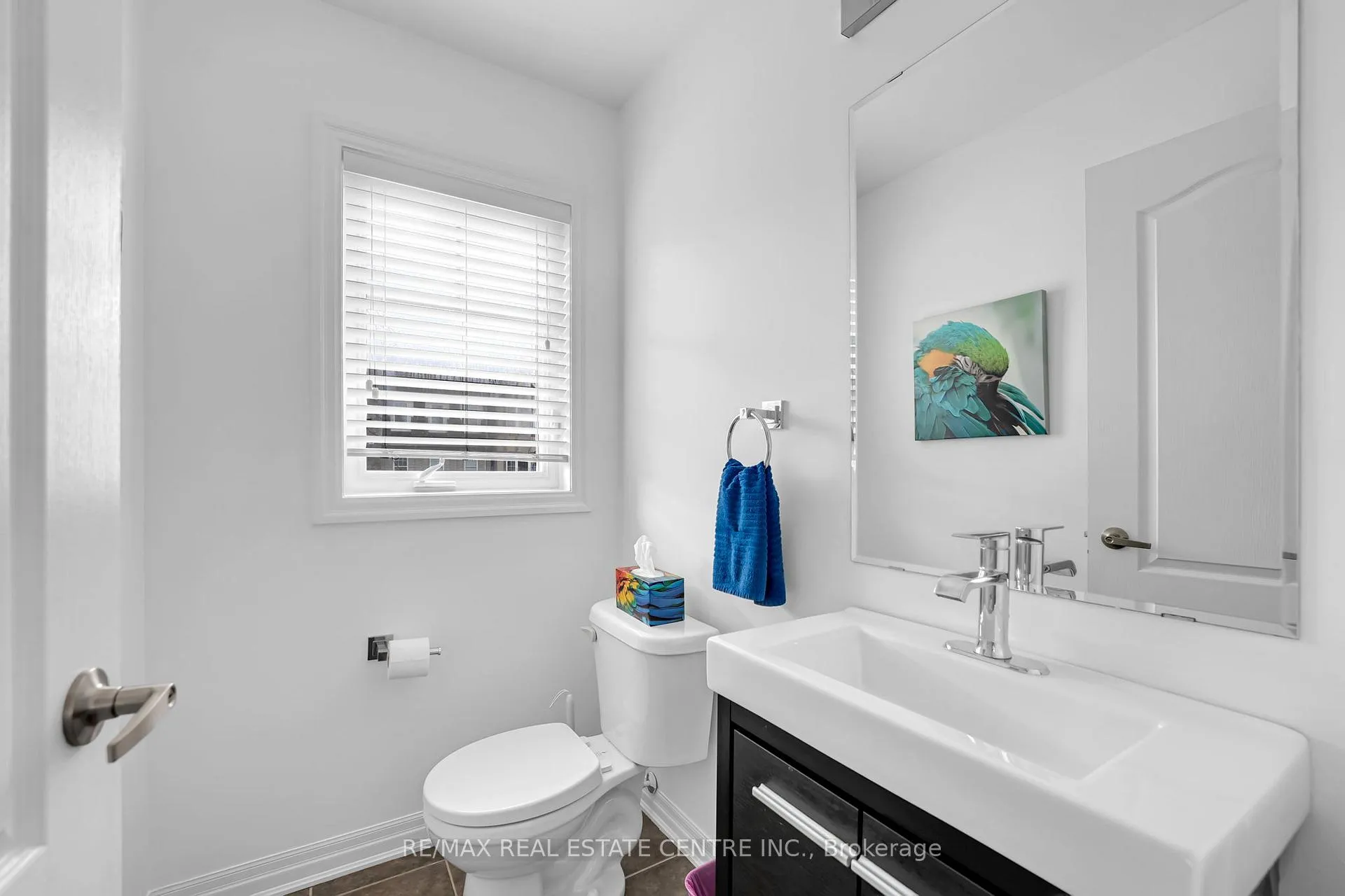 Photo 33 of 123 Bevington Road, Brampton, Northwest Brampton — HOMEH