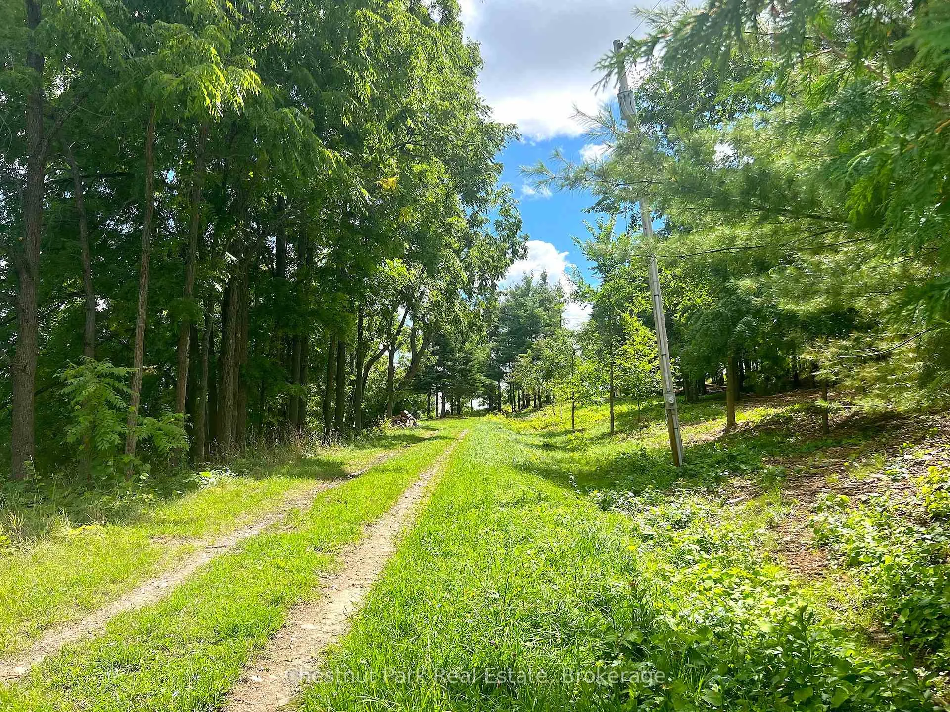 Photo 2 of 628190 15th Side Road, Mulmur, Rural Mulmur — HOMEH