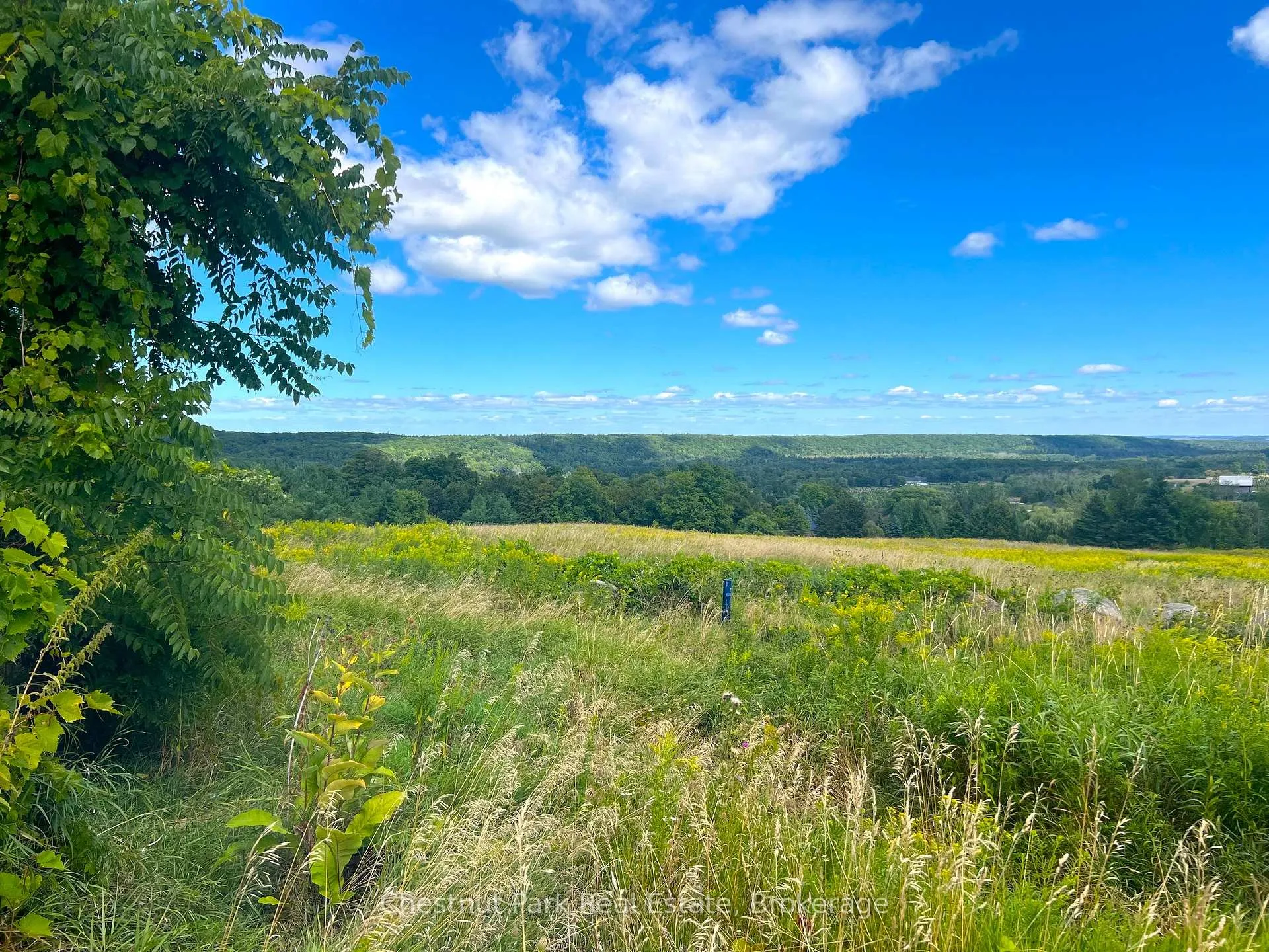 Photo 5 of 628190 15th Side Road, Mulmur, Rural Mulmur — HOMEH