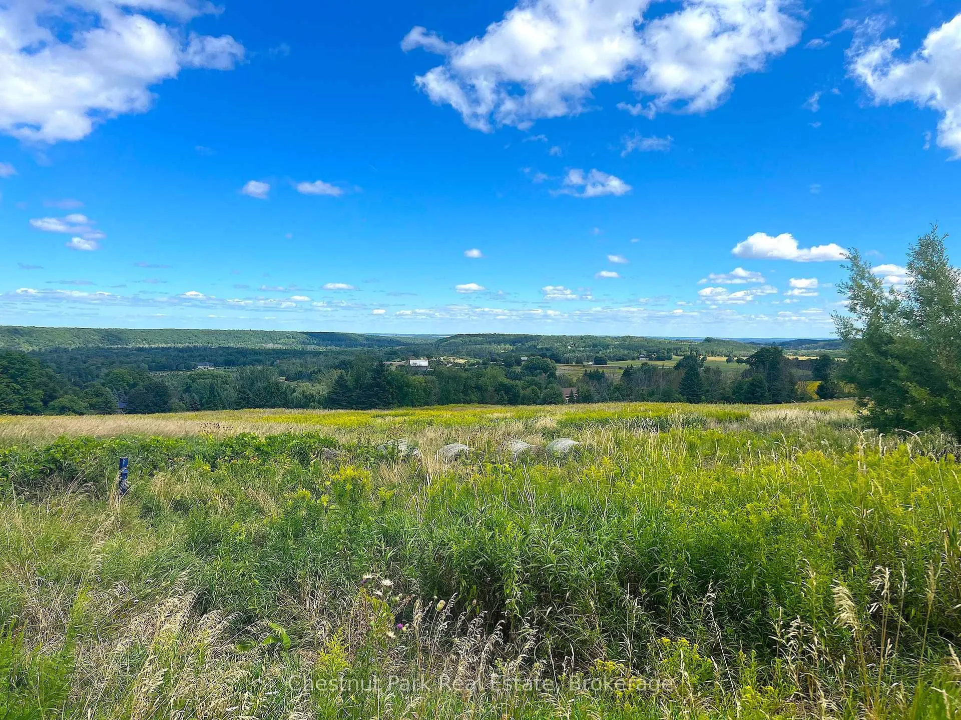 Photo 6 of 628190 15th Side Road, Mulmur, Rural Mulmur — HOMEH