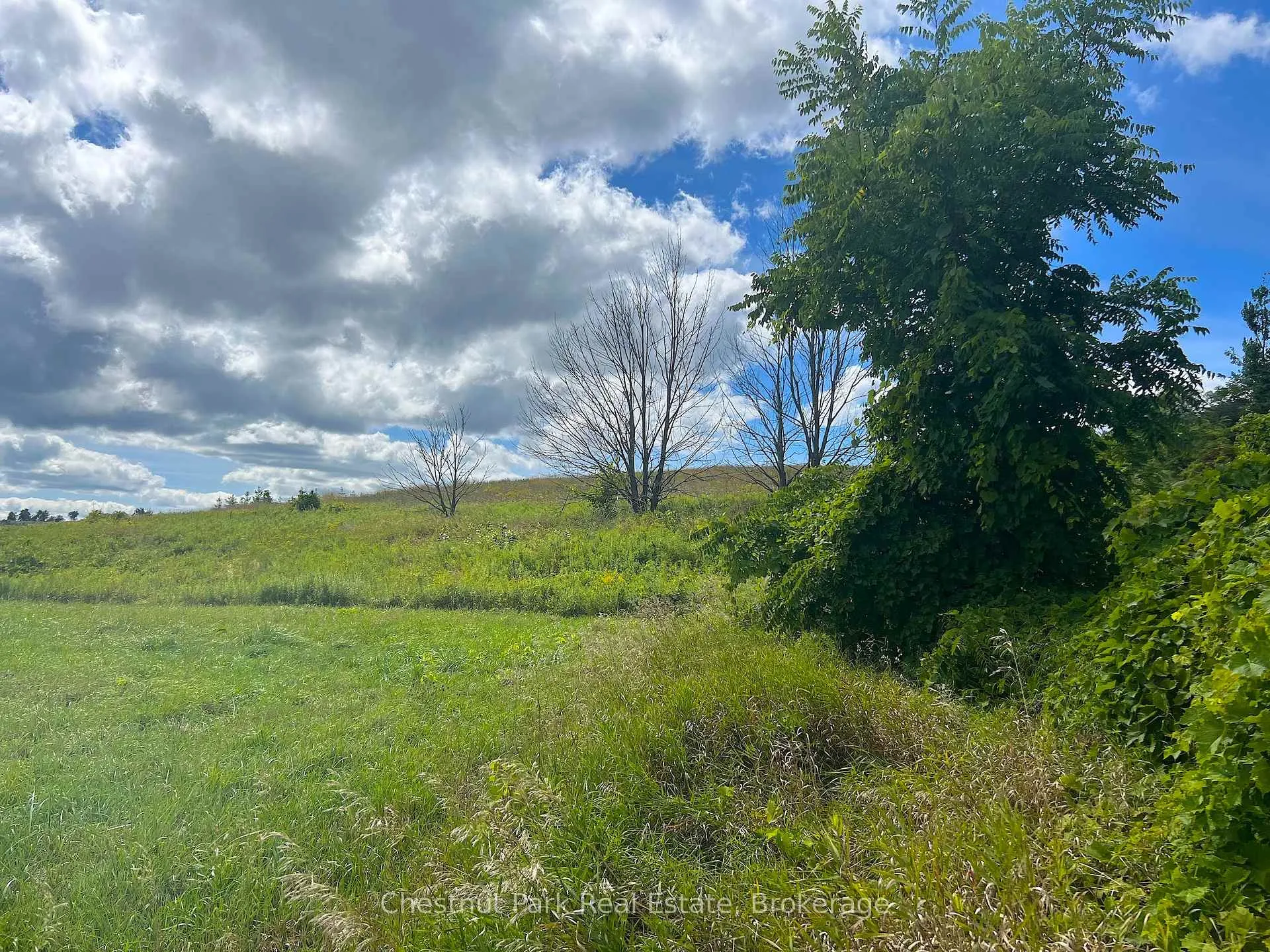 Photo 7 of 628190 15th Side Road, Mulmur, Rural Mulmur — HOMEH