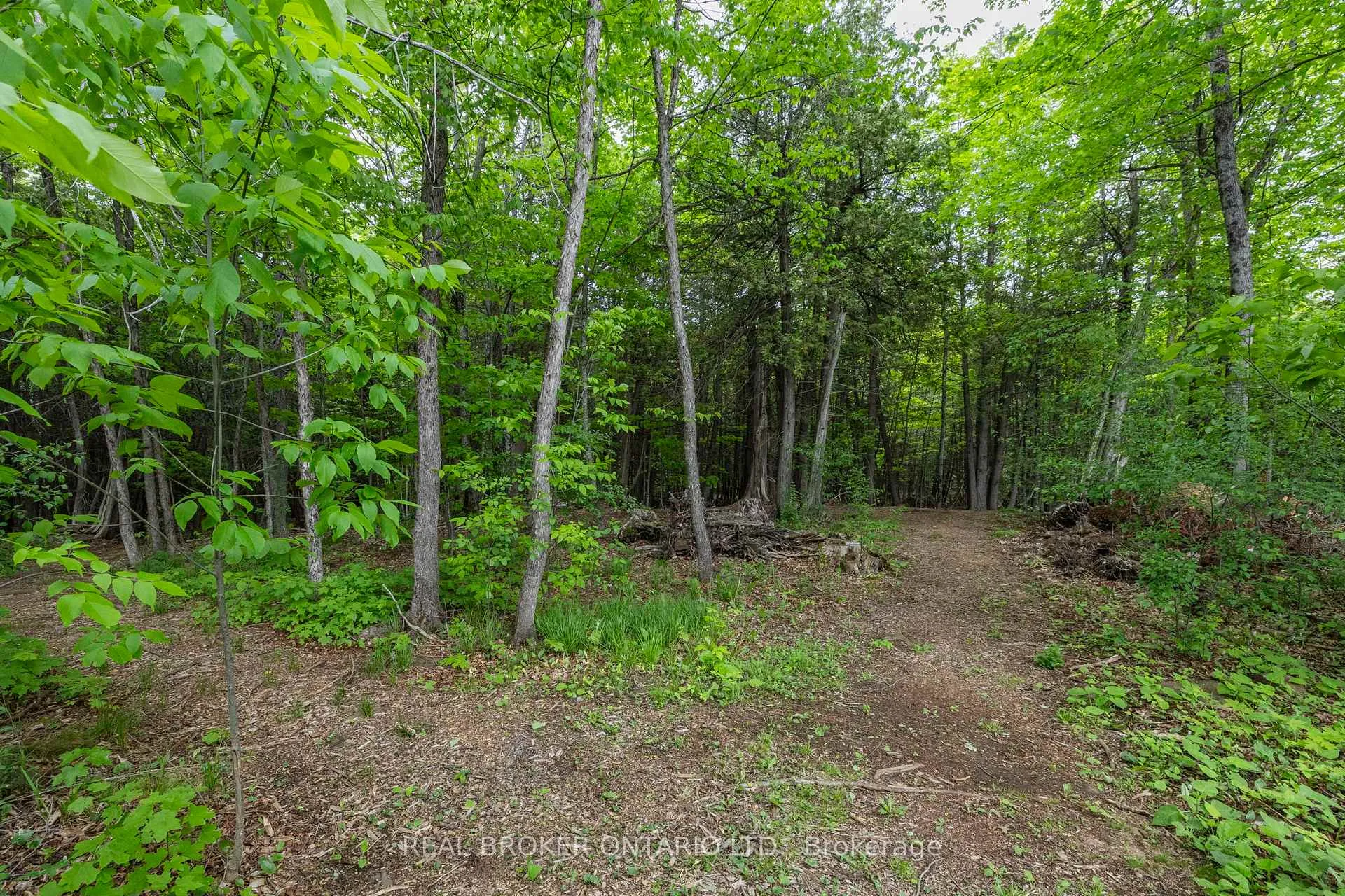 Photo 38 of 265 Justin Drive, Beckwith, Beckwith Twp — HOMEH