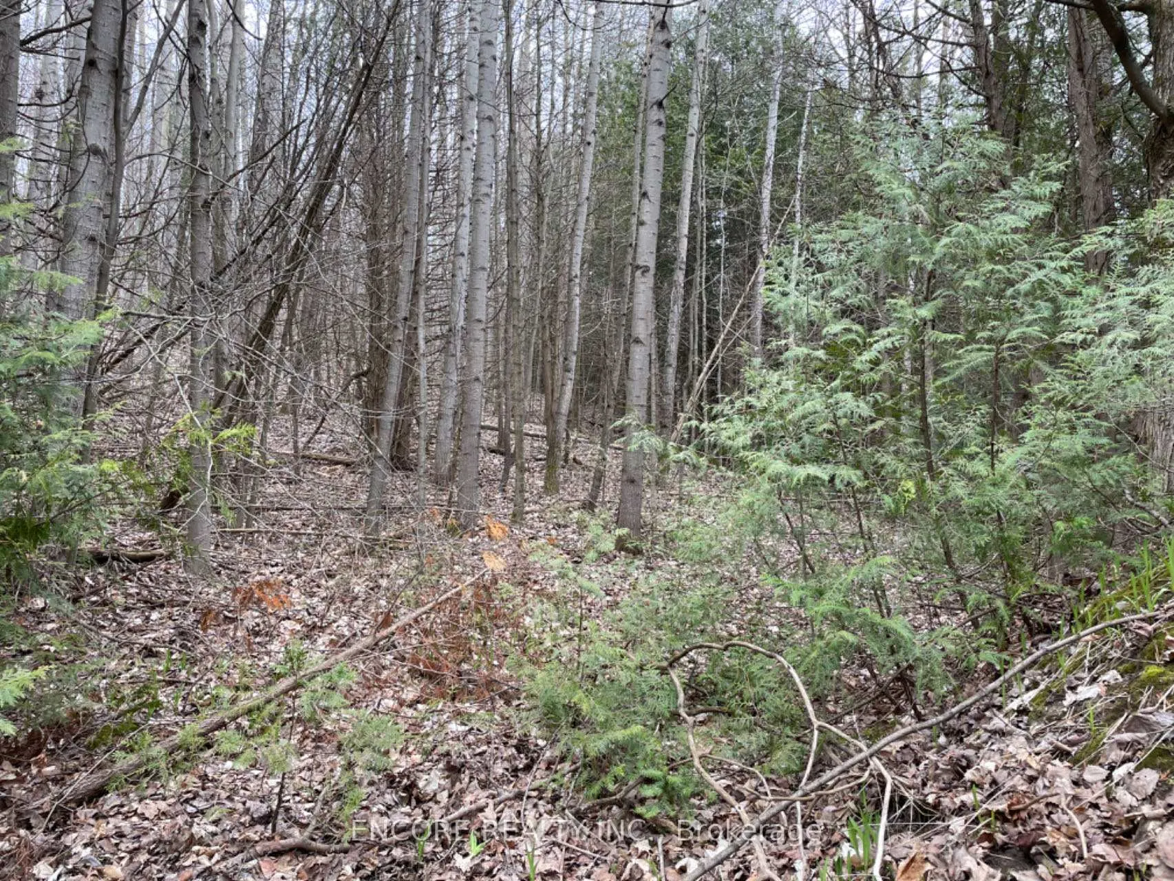 Photo 7 of Unit 10, 4627 Ganaraska Road, Clarington, Rural Clarington — HOMEH