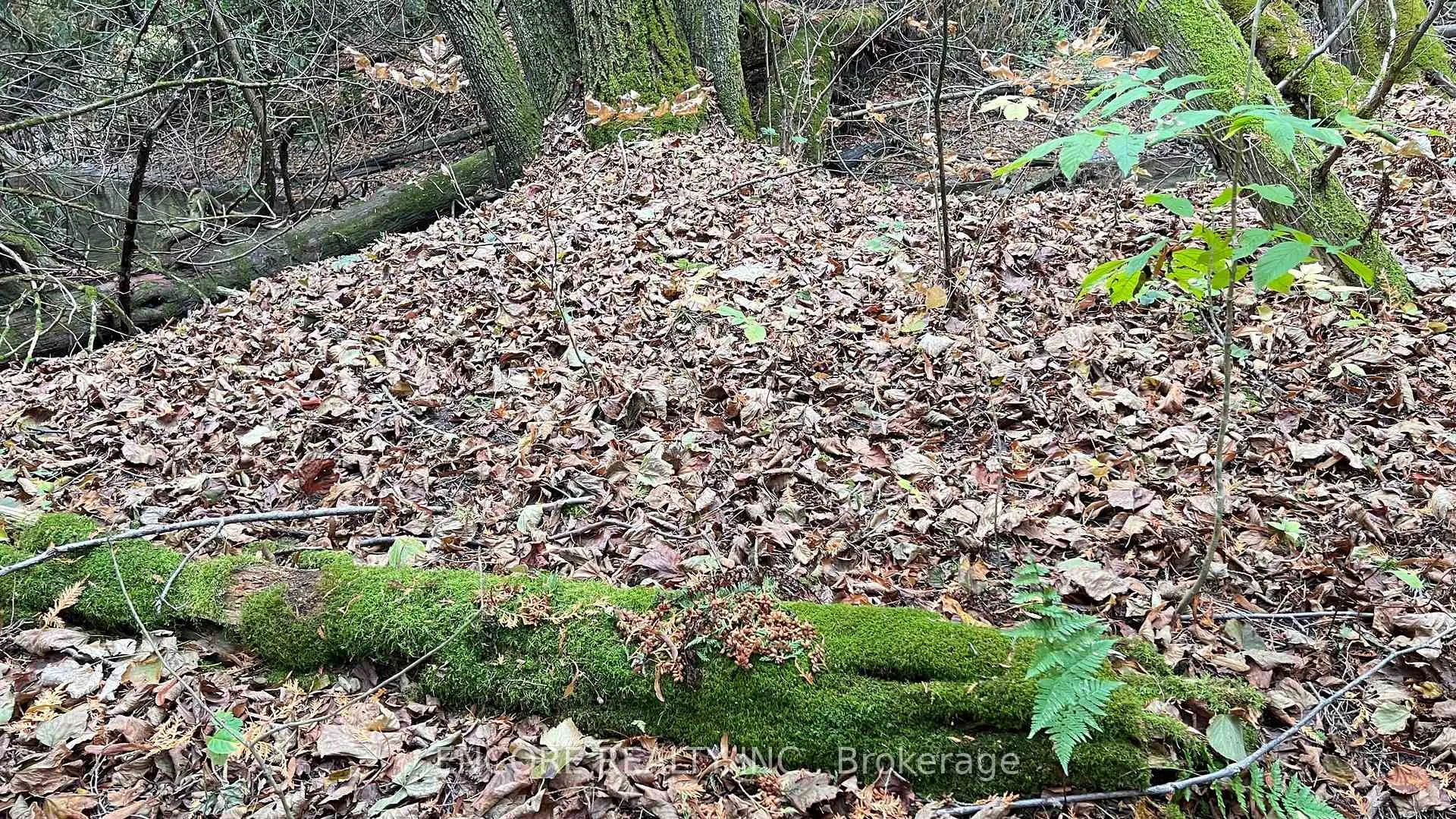 Photo 9 of Unit 10, 4627 Ganaraska Road, Clarington, Rural Clarington — HOMEH