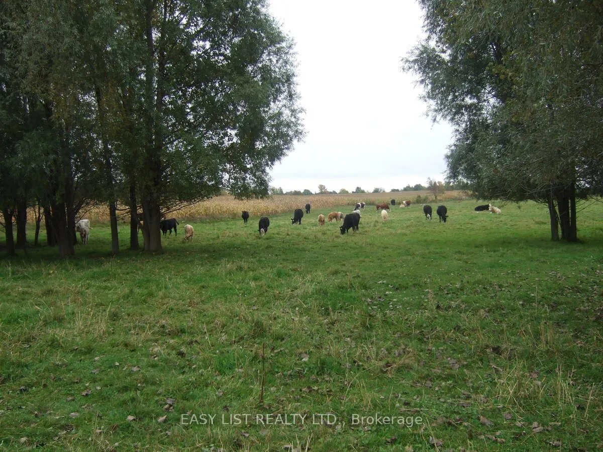 Photo 7 of 12860 County Road 43, North Dundas, North Dundas (Winchester) Twp — HOMEH