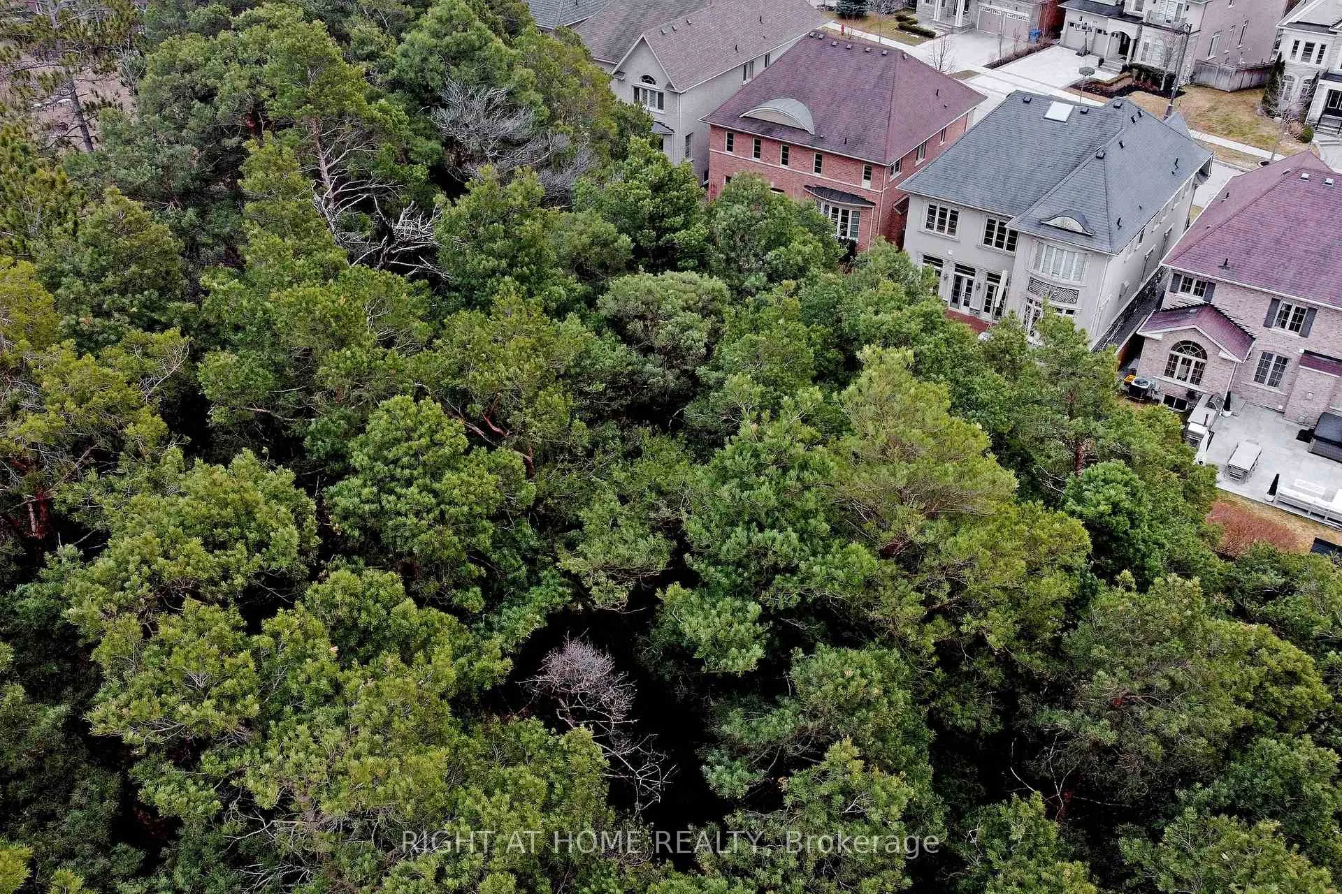 Photo 44 of 95 Vines Place, Aurora, Bayview Southeast — HOMEH