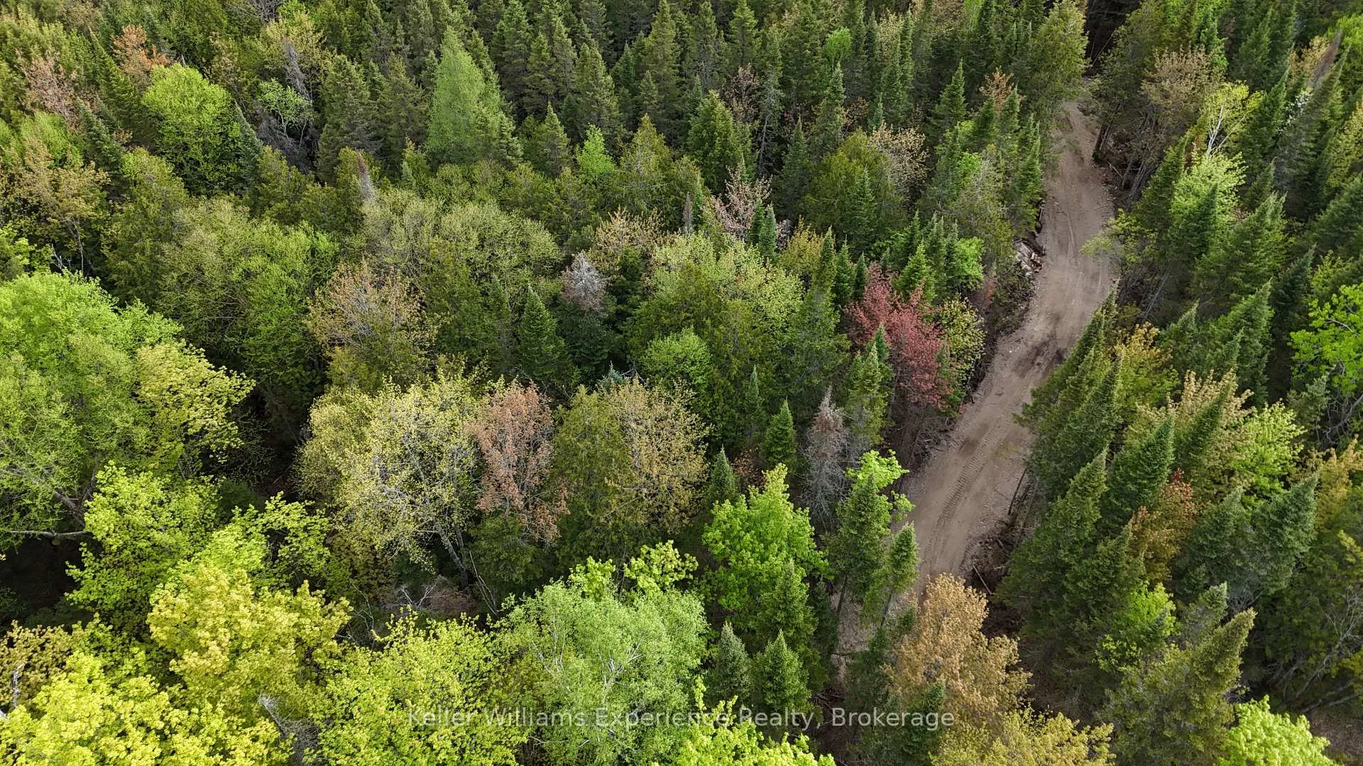 Photo of 1366 Echo Ridge Road