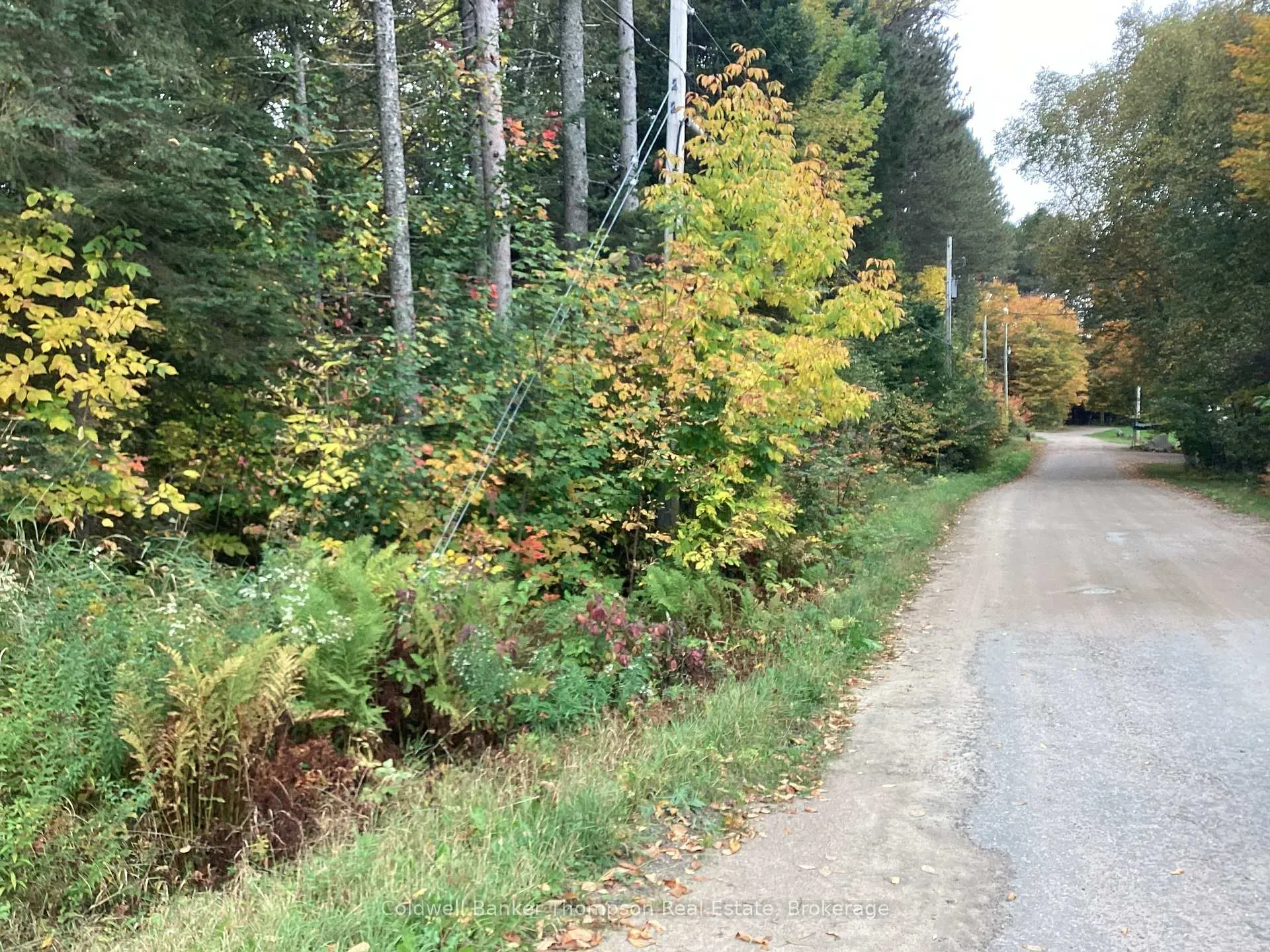 Photo 4 of 4 Snowshoe Lane, Armour — HOMEH