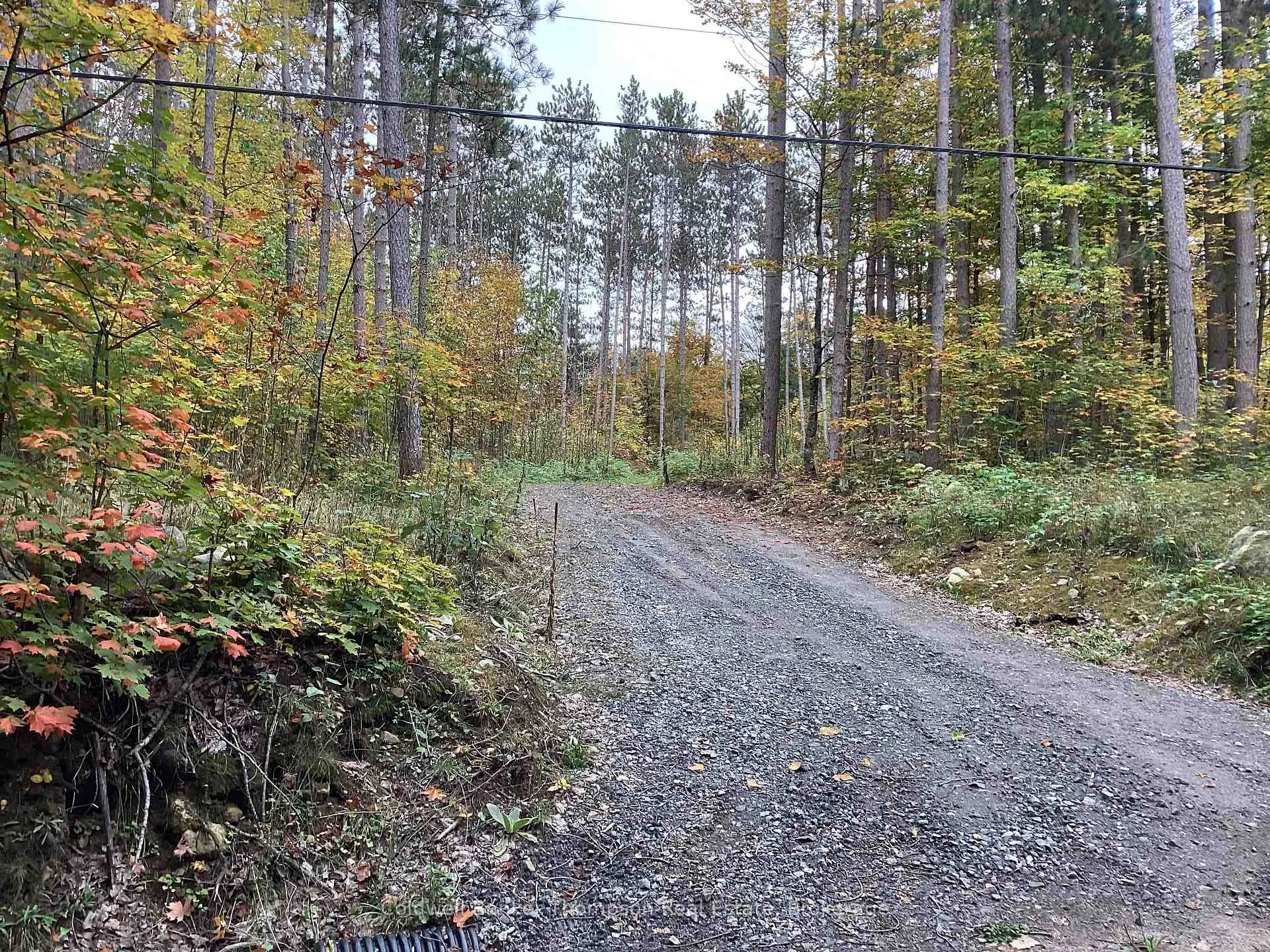 Photo 6 of 4 Snowshoe Lane, Armour — HOMEH