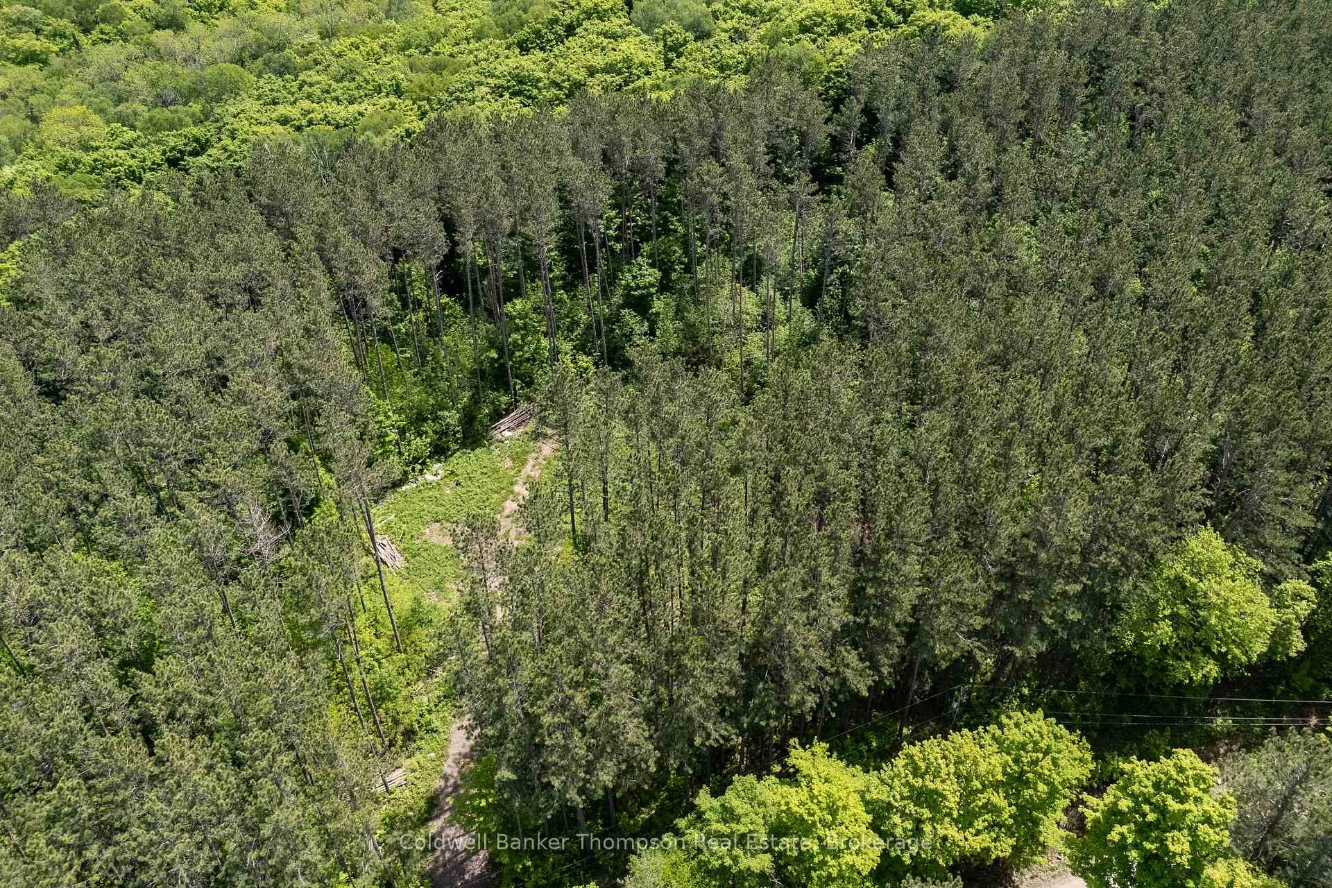Photo 8 of 4 Snowshoe Lane, Armour — HOMEH