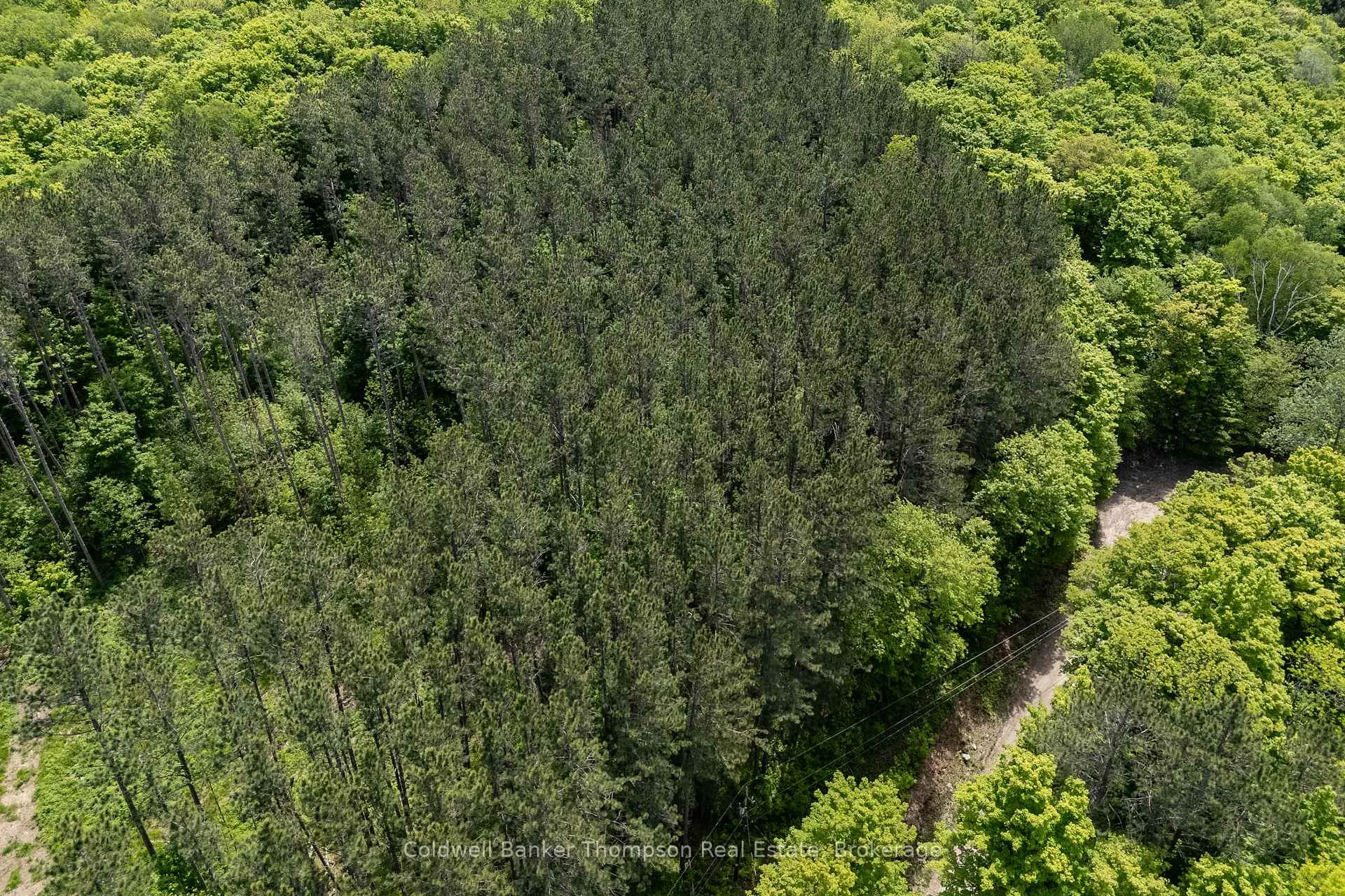 Photo 10 of 4 Snowshoe Lane, Armour — HOMEH