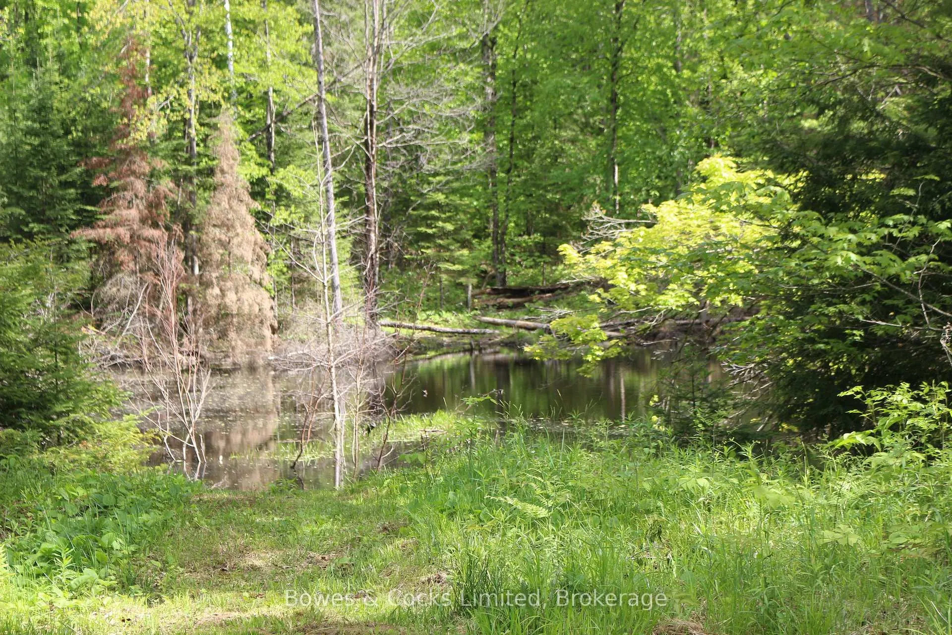 Photo 14 of 1801 Bordenwood Road, Frontenac, Frontenac Centre — HOMEH