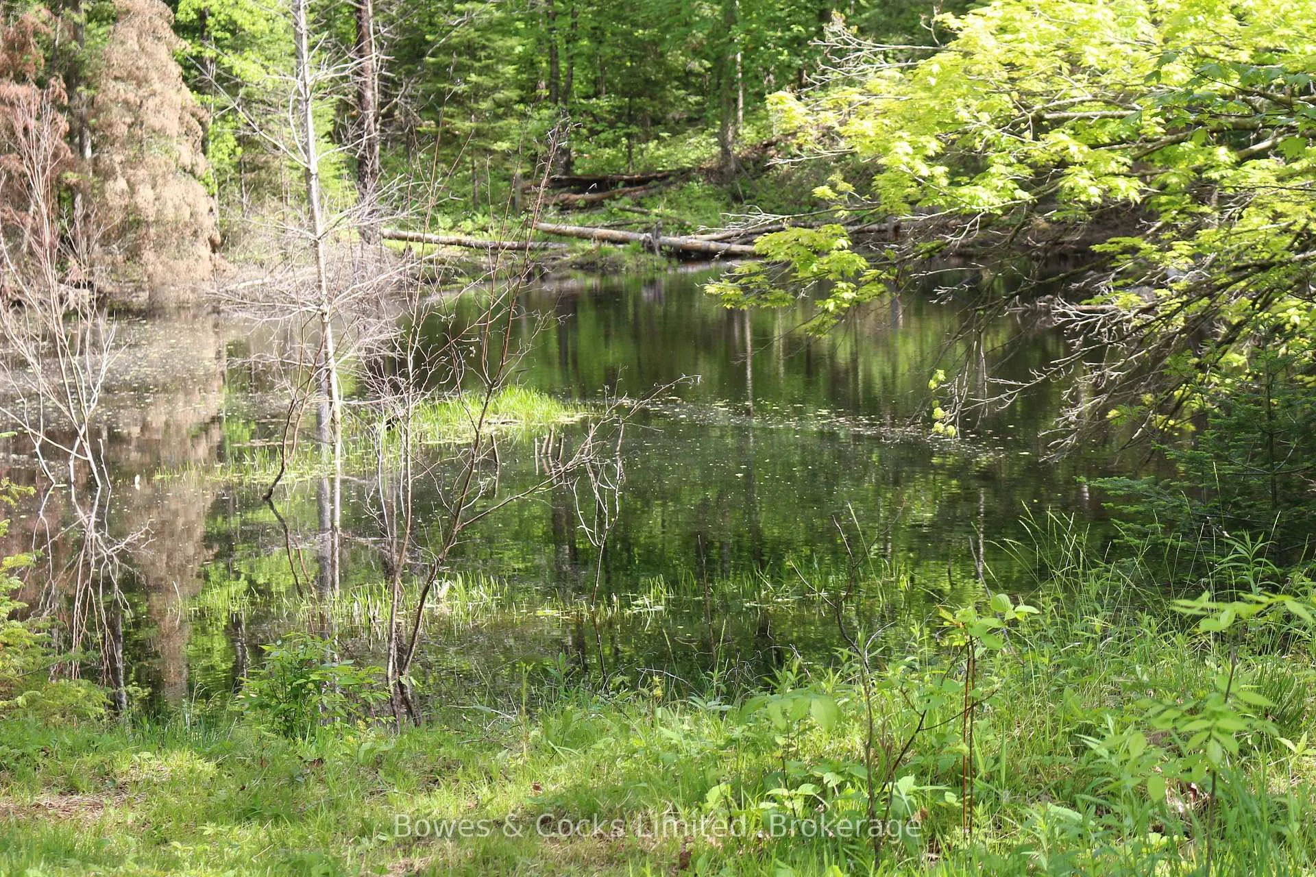 Photo 15 of 1801 Bordenwood Road, Frontenac, Frontenac Centre — HOMEH