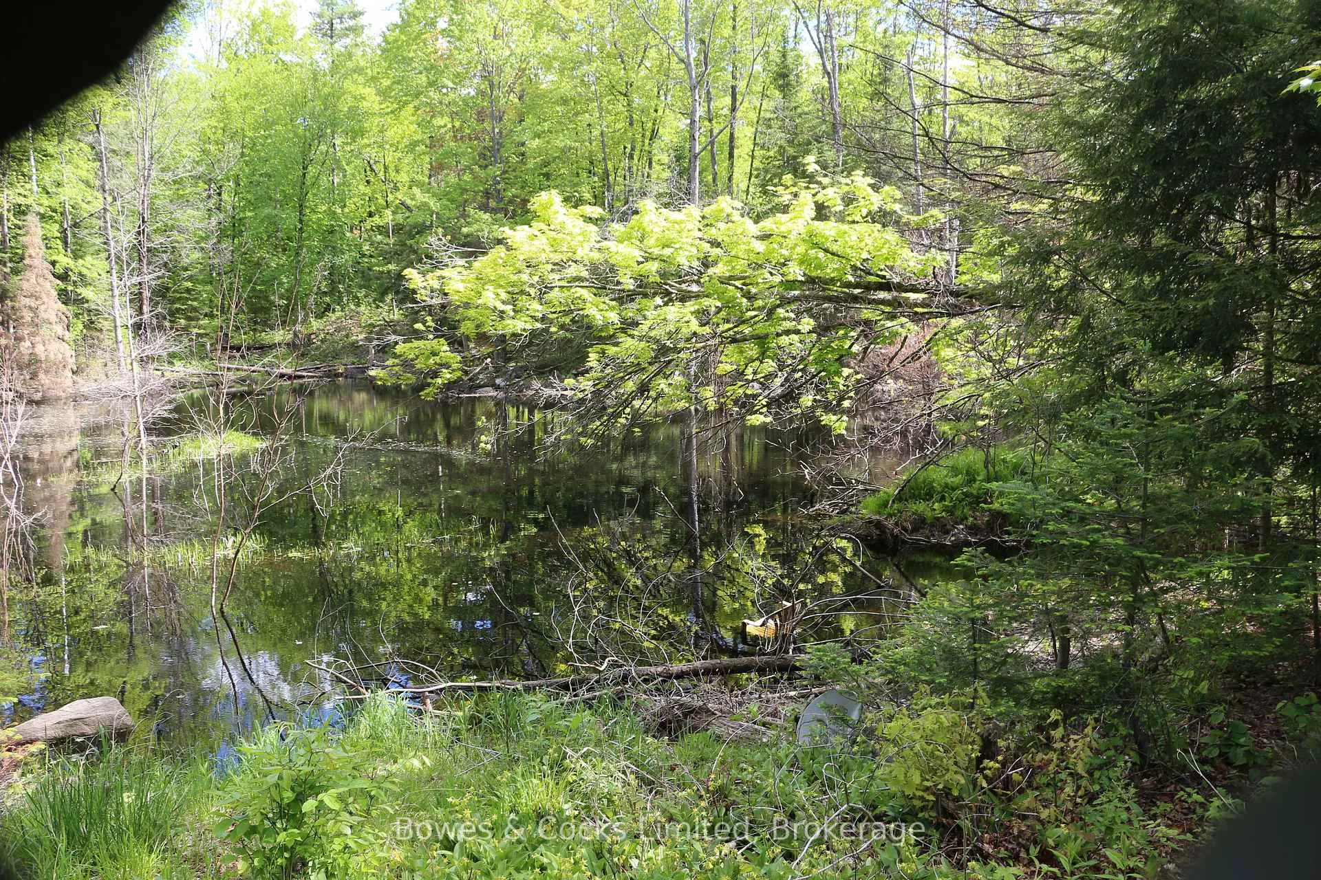 Photo 16 of 1801 Bordenwood Road, Frontenac, Frontenac Centre — HOMEH