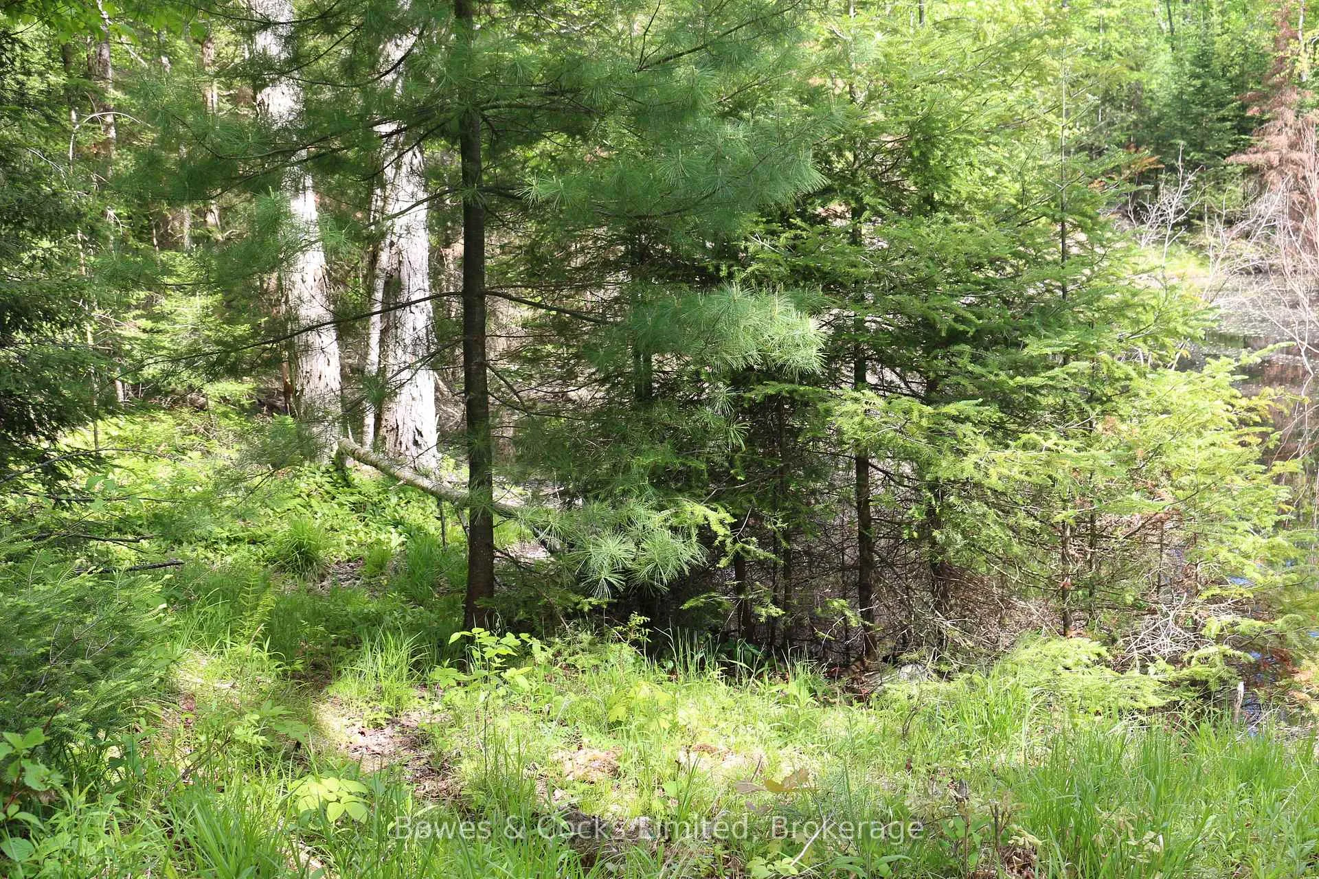 Photo 38 of 1801 Bordenwood Road, Frontenac, Frontenac Centre — HOMEH