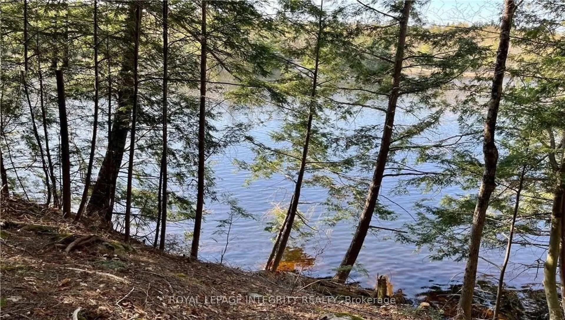 Photo 9 of 131 Shady Maple Road, McNab/Braeside, Mcnab/Braeside Twps — HOMEH