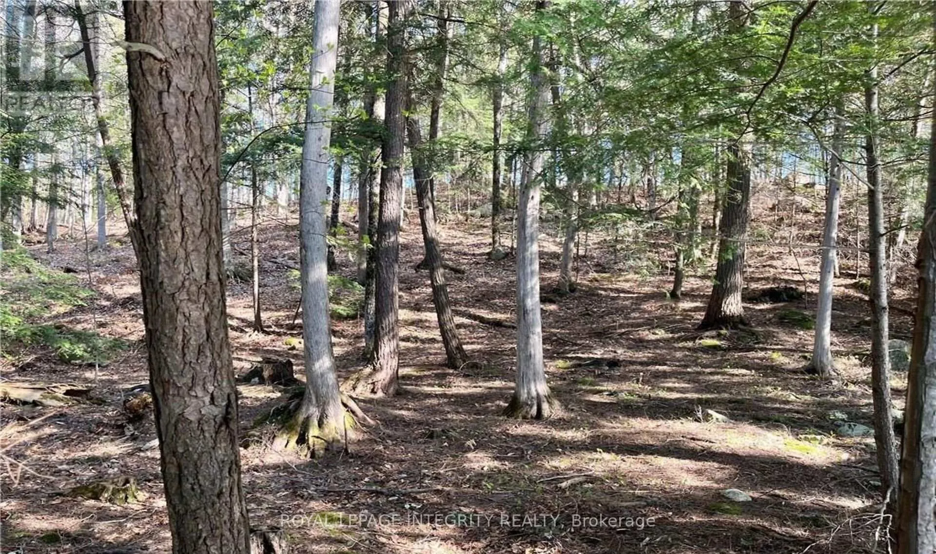 Photo 11 of 131 Shady Maple Road, McNab/Braeside, Mcnab/Braeside Twps — HOMEH