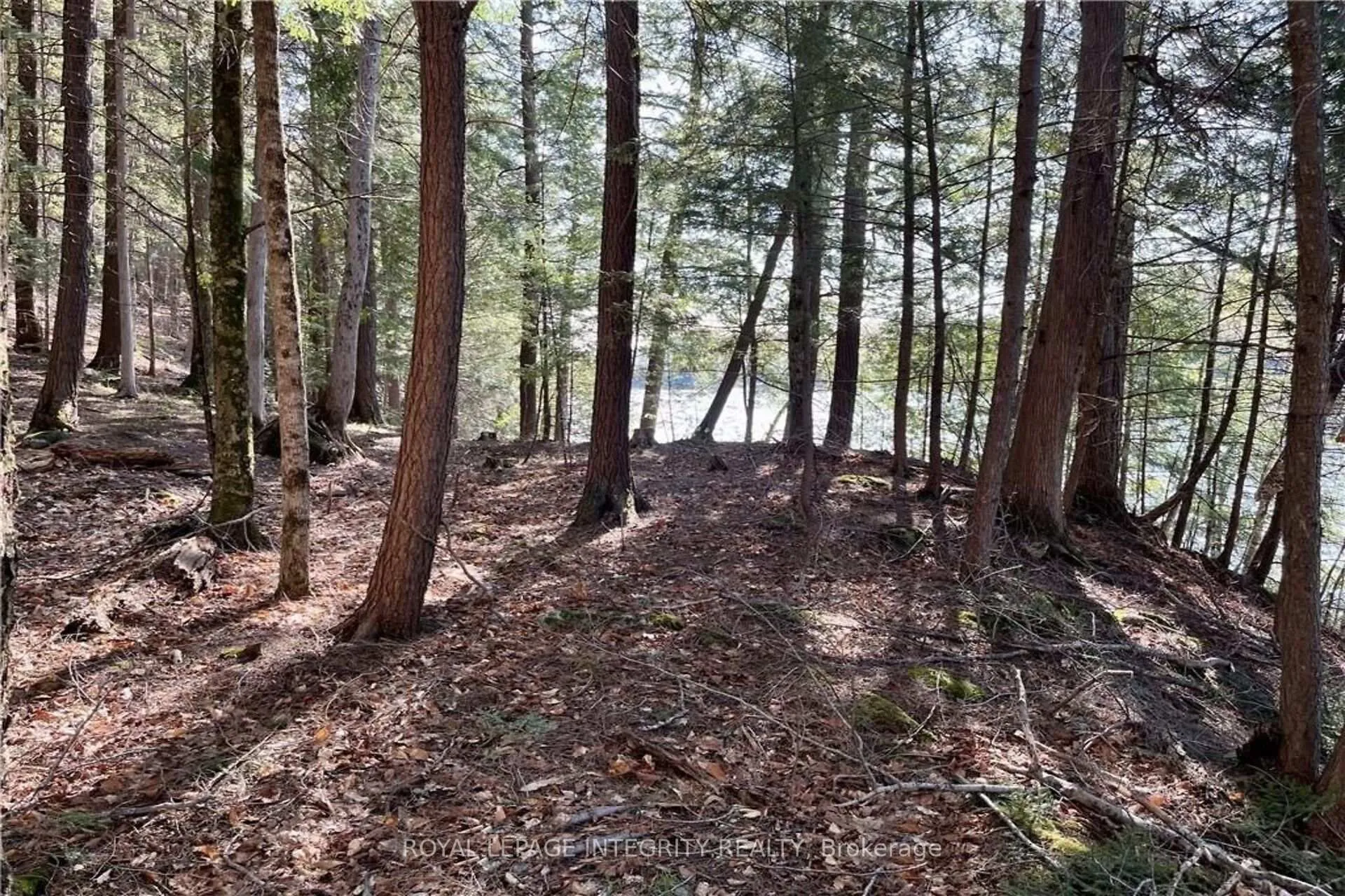 Photo 13 of 131 Shady Maple Road, McNab/Braeside, Mcnab/Braeside Twps — HOMEH