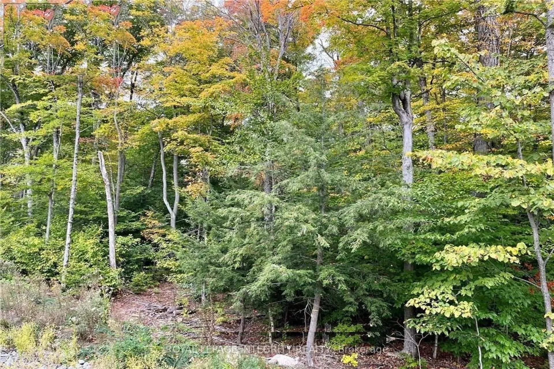 Photo 19 of 131 Shady Maple Road, McNab/Braeside, Mcnab/Braeside Twps — HOMEH