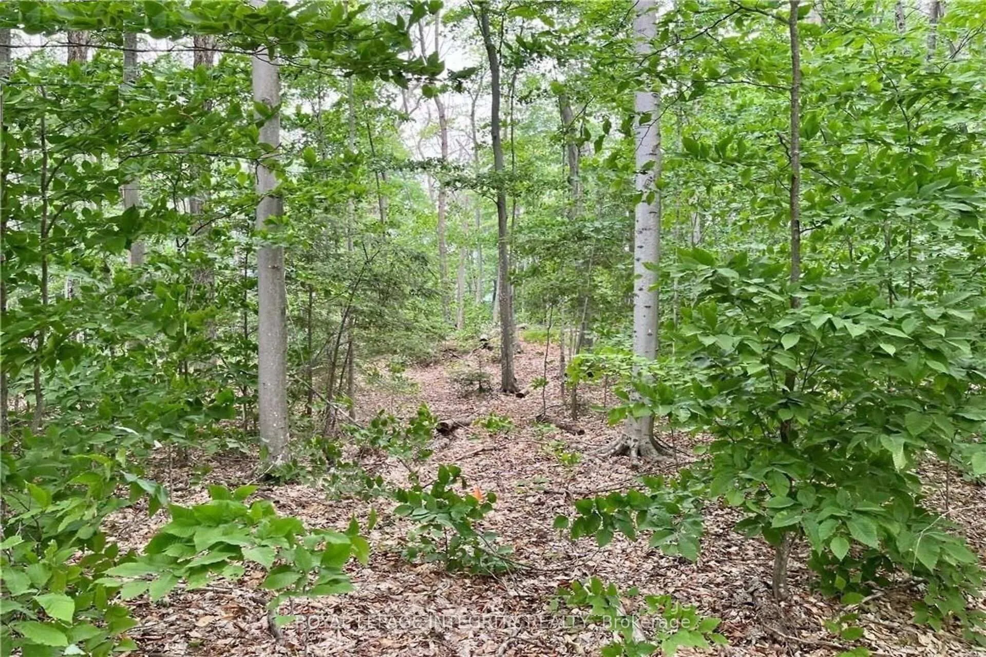 Photo 26 of 131 Shady Maple Road, McNab/Braeside, Mcnab/Braeside Twps — HOMEH