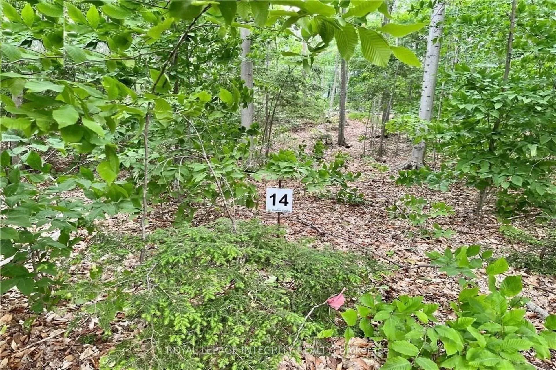 Photo 27 of 131 Shady Maple Road, McNab/Braeside, Mcnab/Braeside Twps — HOMEH