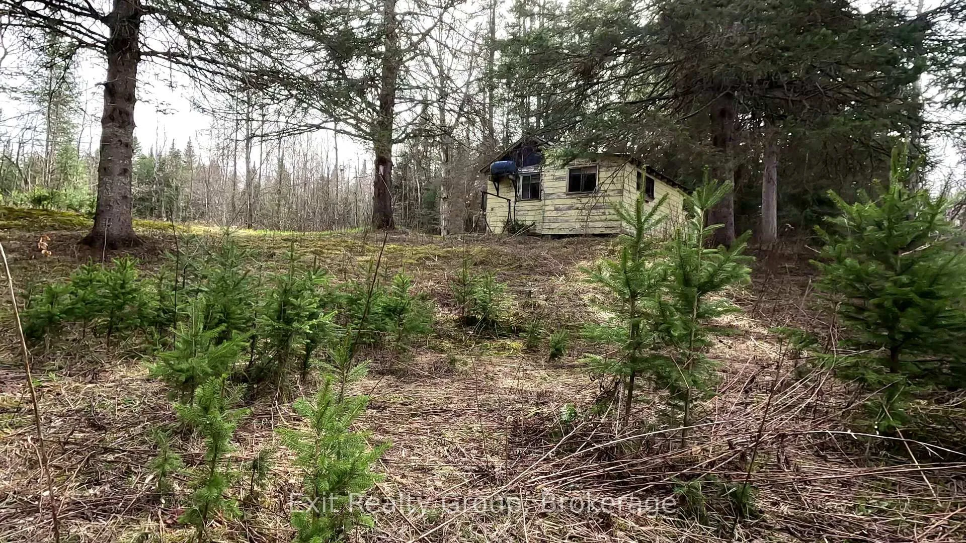 Photo of 3606 County Road 620