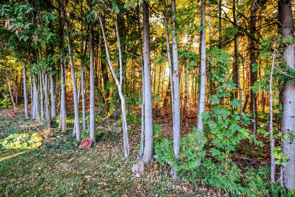 Photo 34 of 1355 Hilltop Road, Severn, Rural Severn — HOMEH