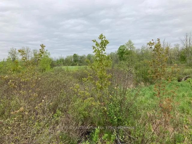 Photo 25 of 9th Concession Road, Stone Mills — HOMEH