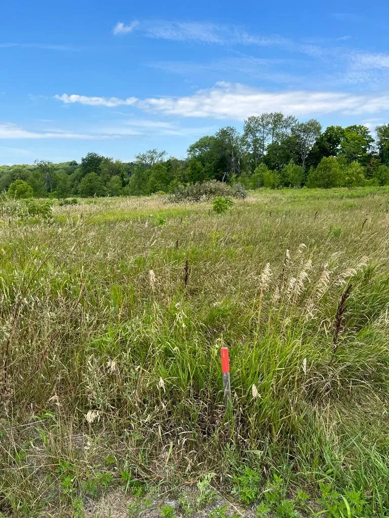 Photo 5 of 32 Mckenzie Lane, Prince Edward County, North Marysburg Ward — HOMEH