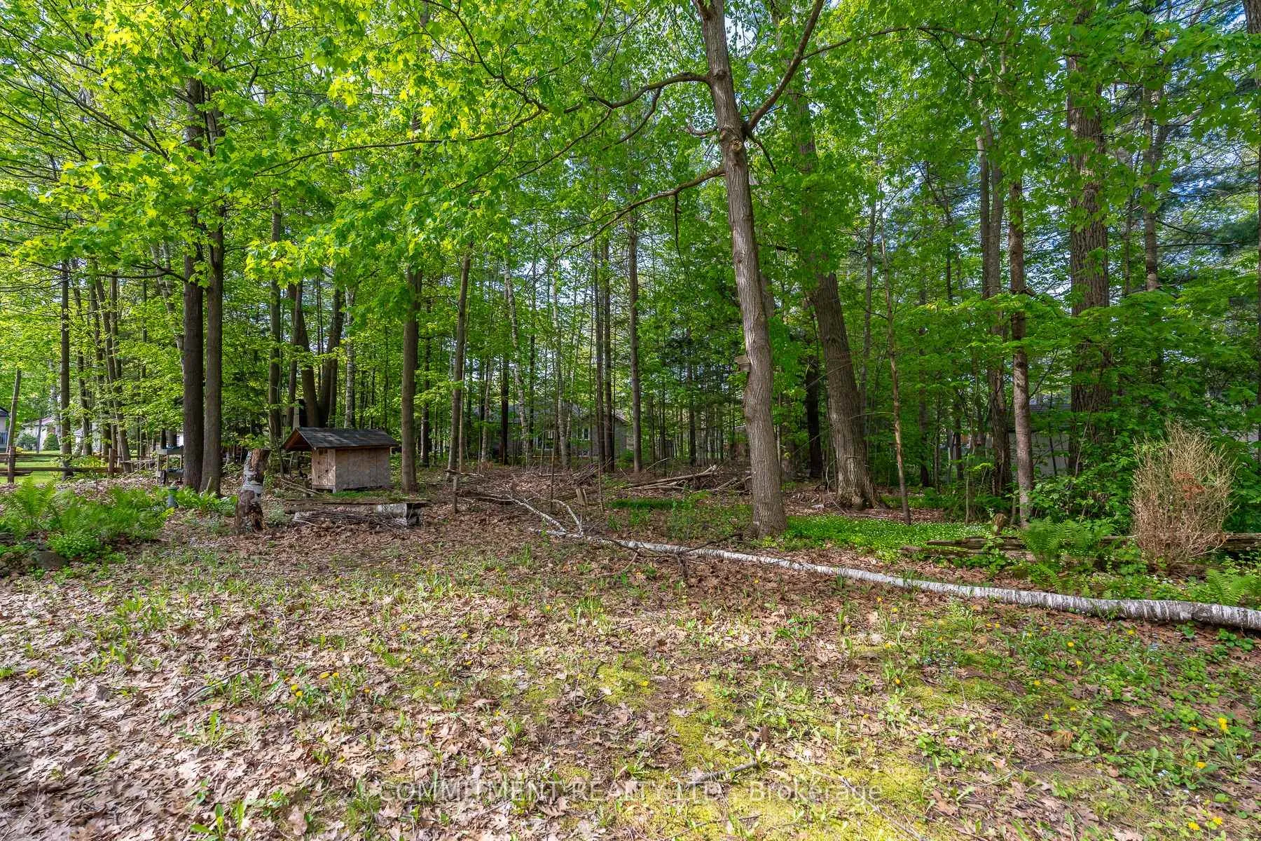 Photo 7 of 39 Downer Crescent, Wasaga Beach — HOMEH