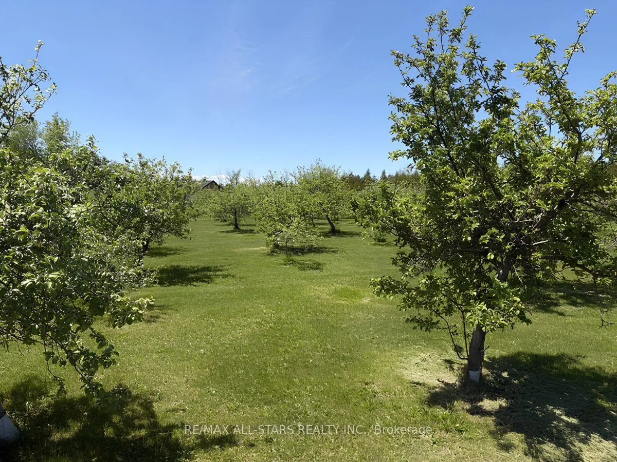 Photo 9 of 25472 Lakeridge Road, Georgina, Pefferlaw — HOMEH