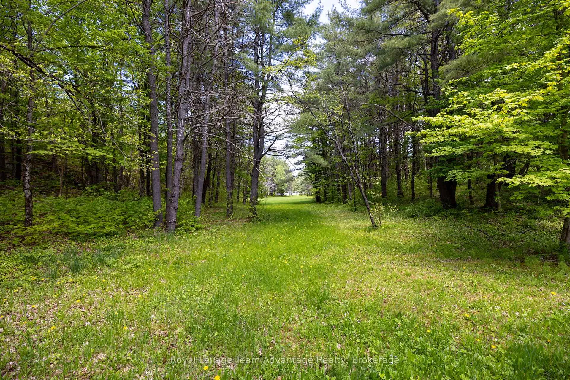 Photo 55 of 68 Lees Road, McKellar — HOMEH