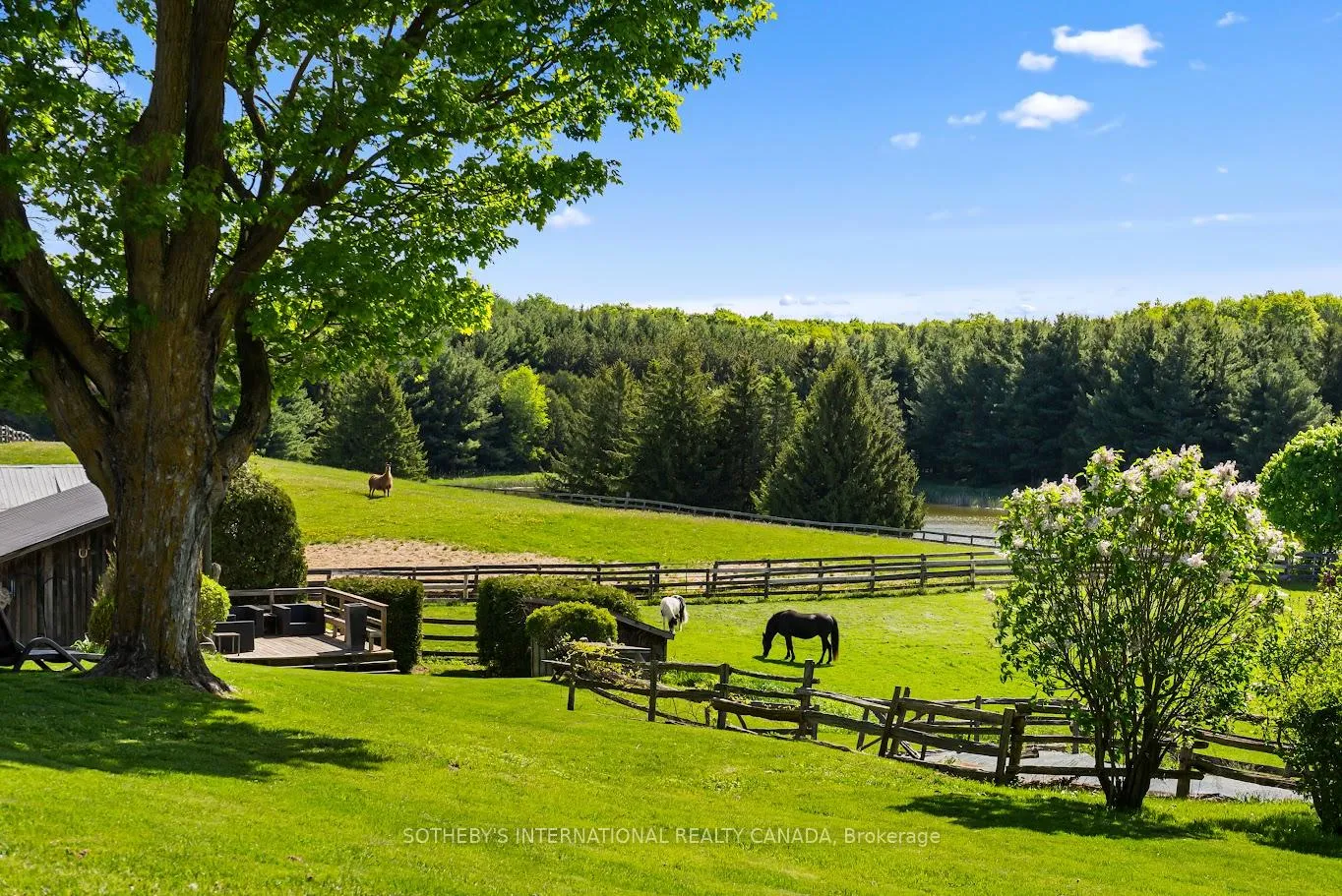 Photo 3 of 18101 Shaws Creek Road, Caledon, Rural Caledon — HOMEH