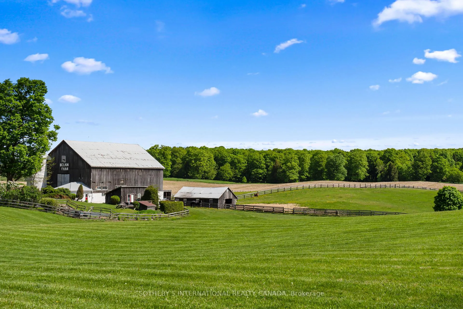 Photo 47 of 18101 Shaws Creek Road, Caledon, Rural Caledon — HOMEH
