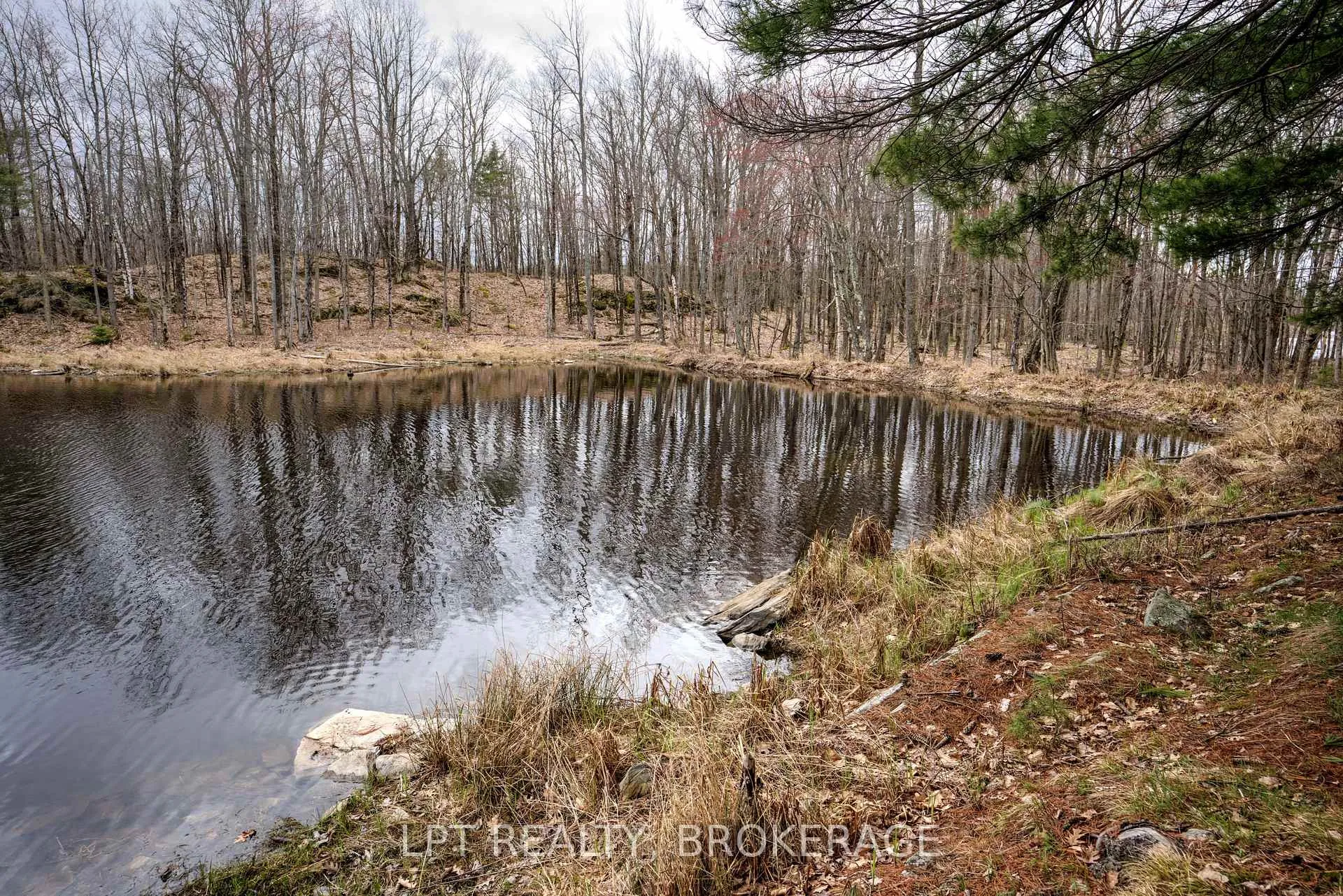 Photo 5 of Old Sulphide Road, Tweed, Hungerford (Twp) — HOMEH