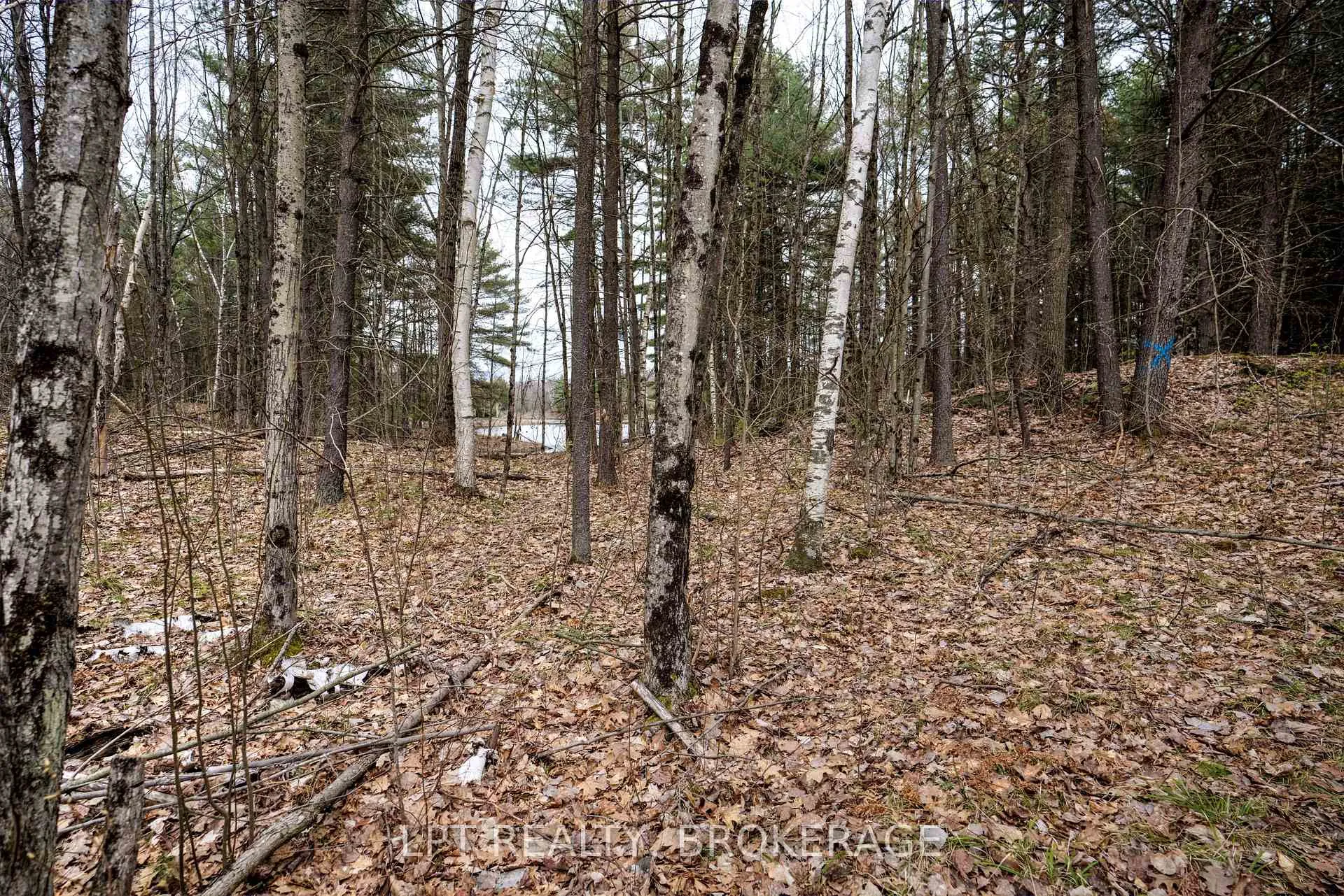 Photo 25 of Old Sulphide Road, Tweed, Hungerford (Twp) — HOMEH
