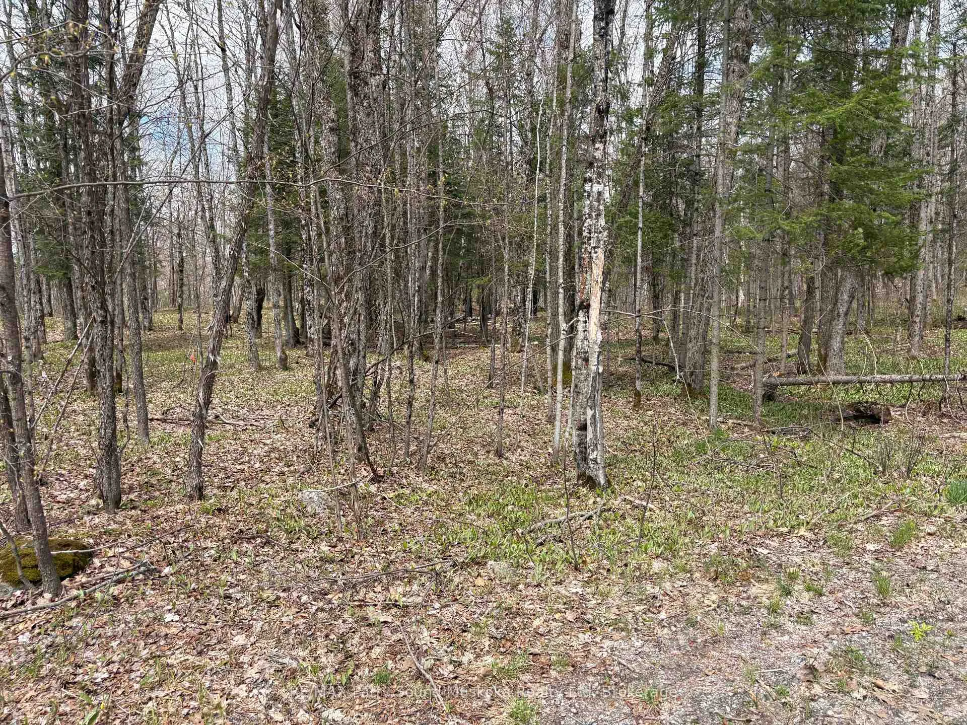 Photo 2 of Dauncey Road, Magnetawan, Spence — HOMEH