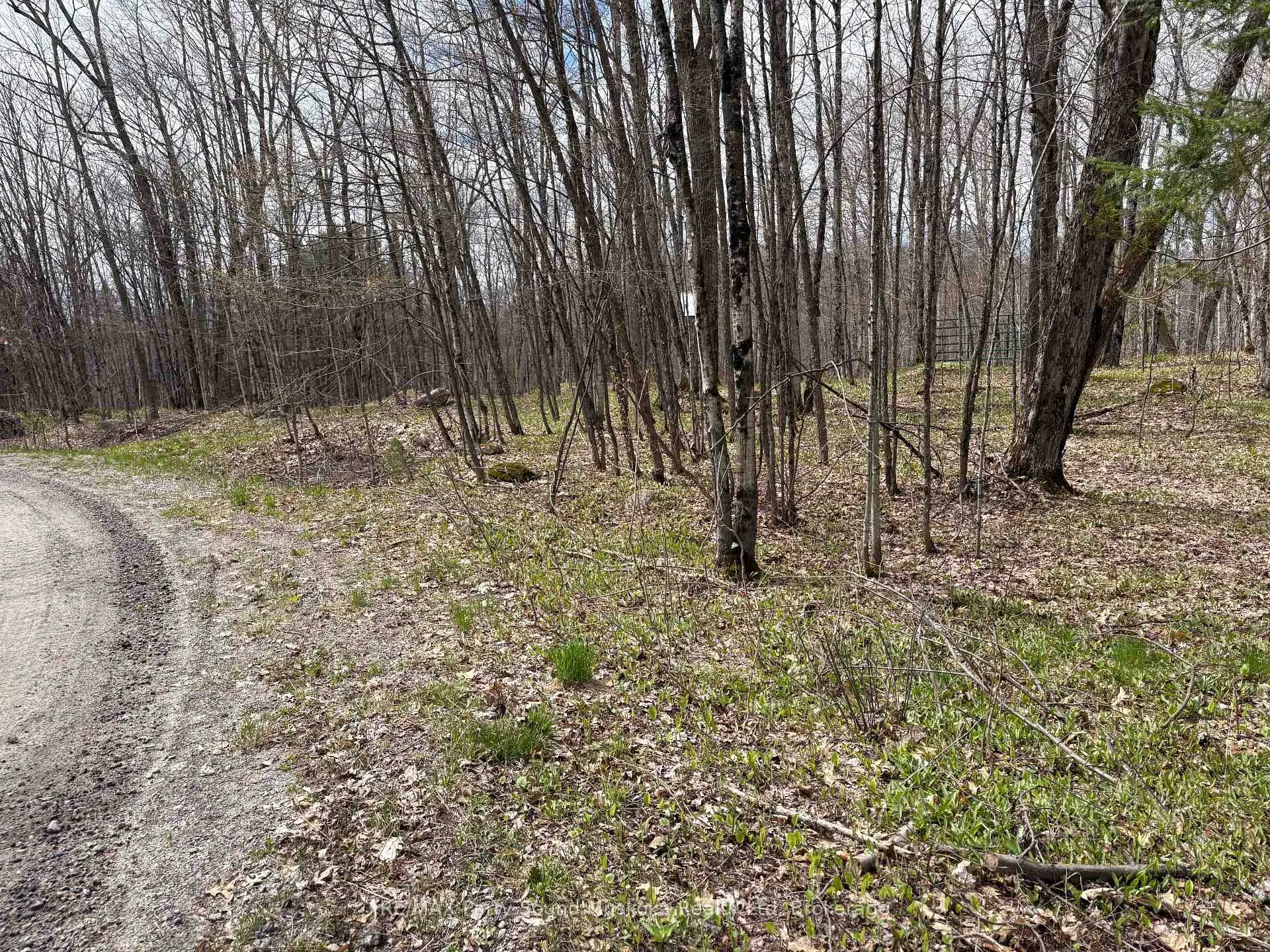 Photo 13 of Dauncey Road, Magnetawan, Spence — HOMEH
