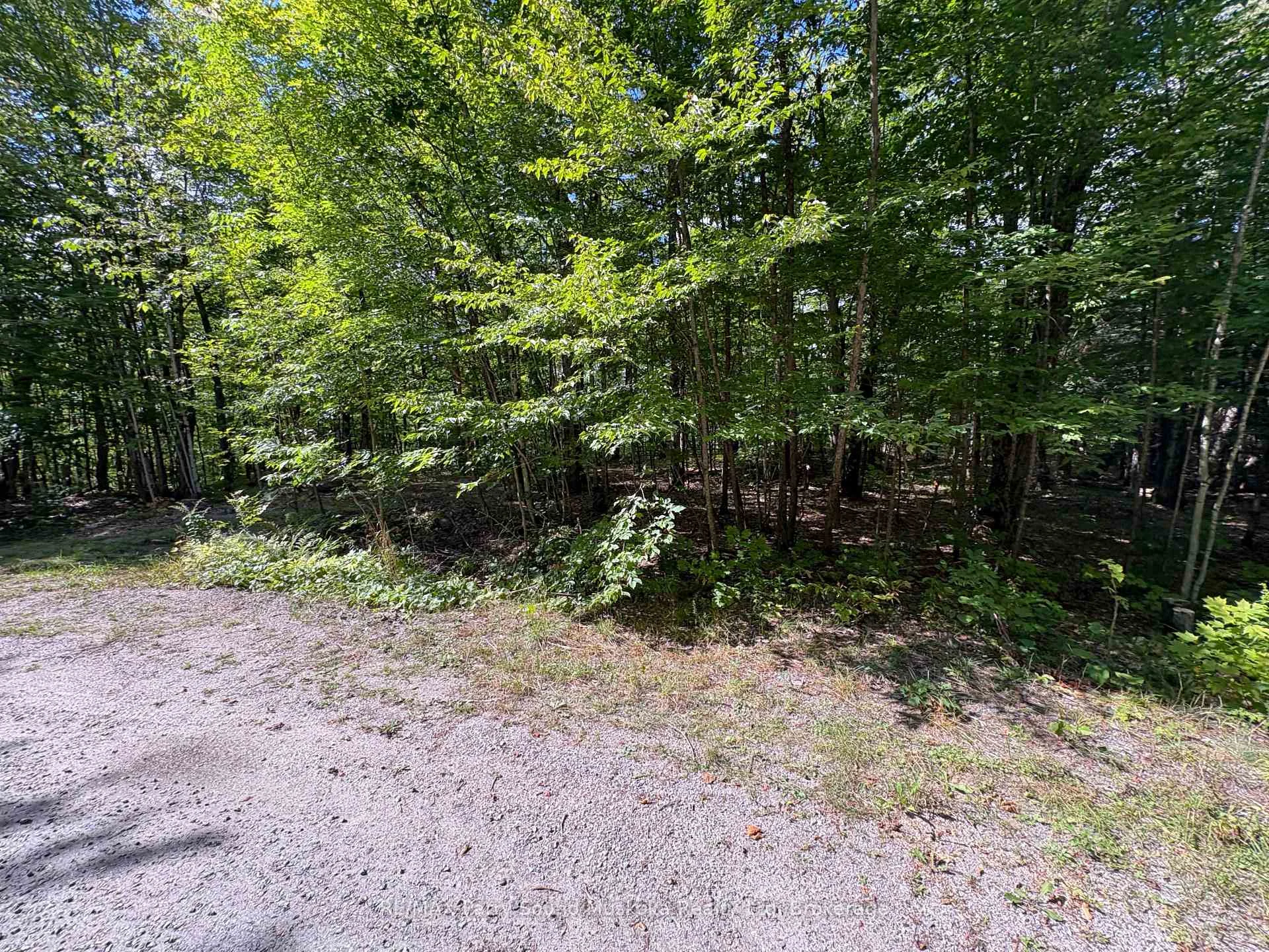 Photo 4 of Dauncey Road, Magnetawan, Spence — HOMEH