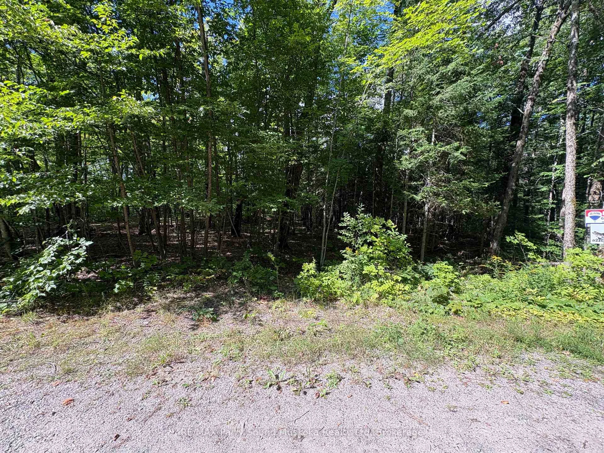 Photo 6 of Dauncey Road, Magnetawan, Spence — HOMEH