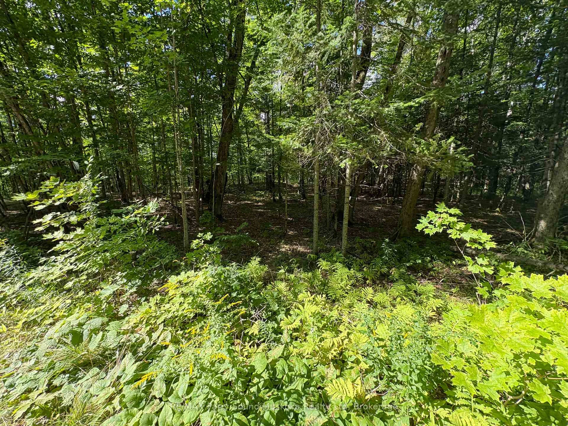 Photo 14 of Dauncey Road, Magnetawan, Spence — HOMEH