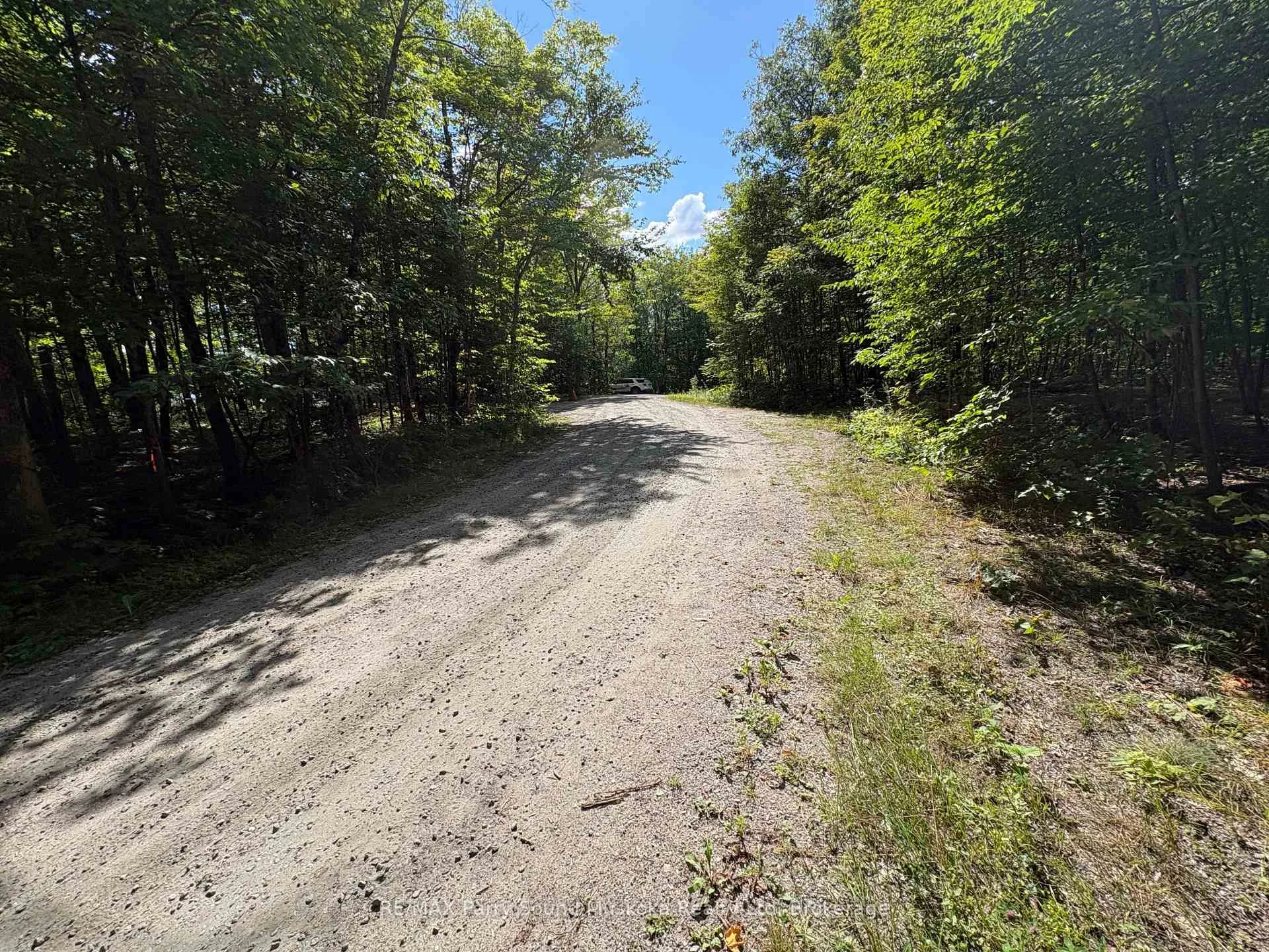 Photo 15 of Dauncey Road, Magnetawan, Spence — HOMEH