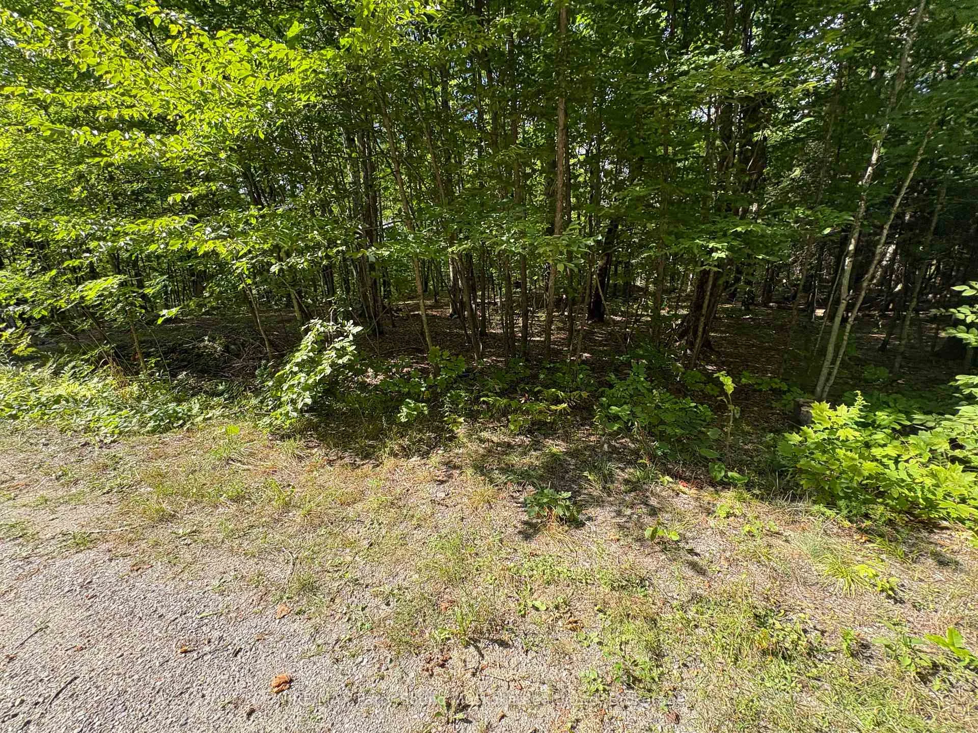 Photo 16 of Dauncey Road, Magnetawan, Spence — HOMEH