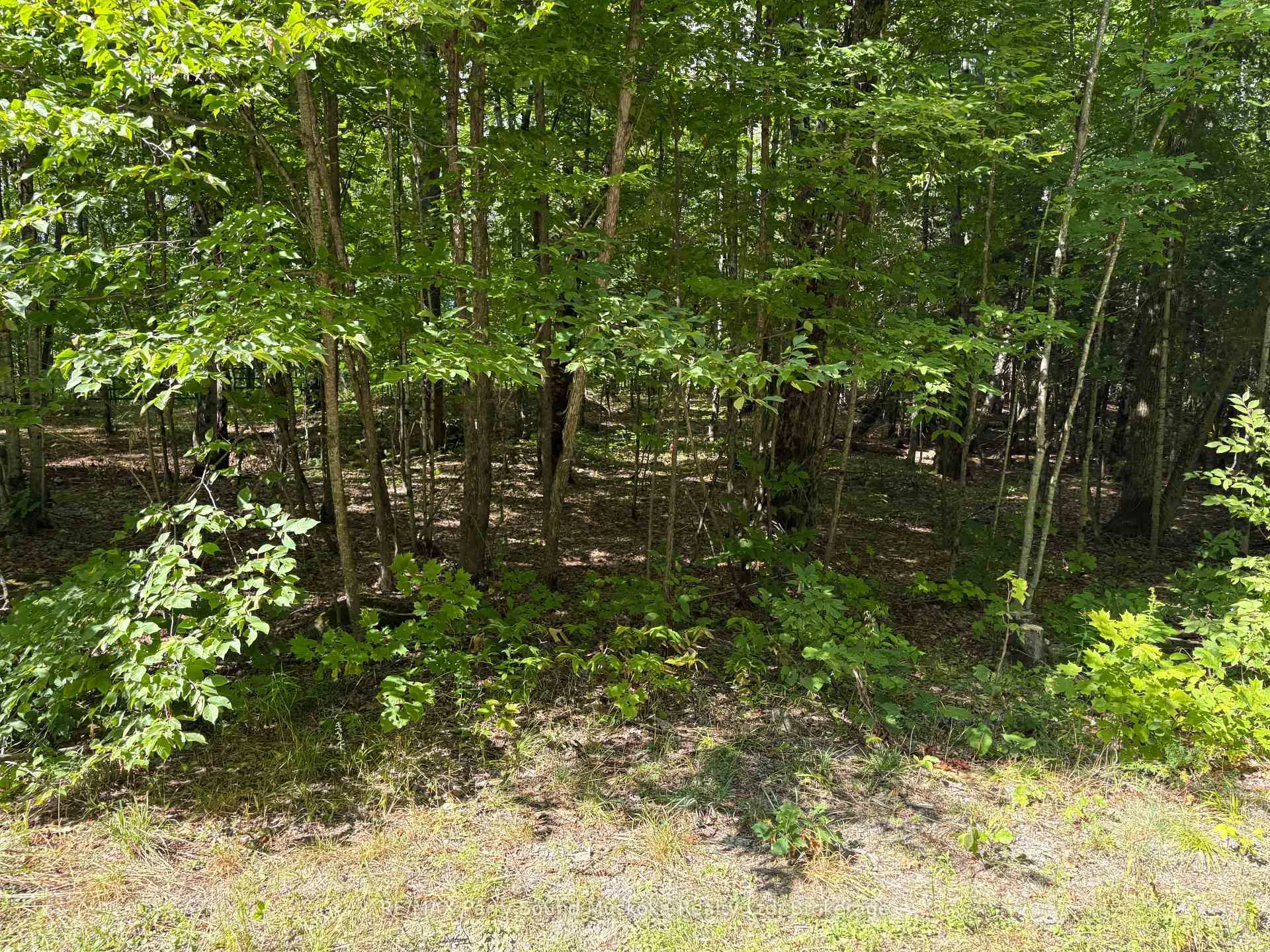 Photo 17 of Dauncey Road, Magnetawan, Spence — HOMEH