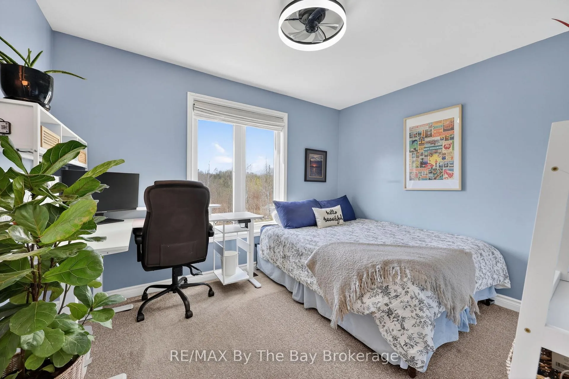 Photo 15 of 43 Trafalgar Road, Collingwood — HOMEH