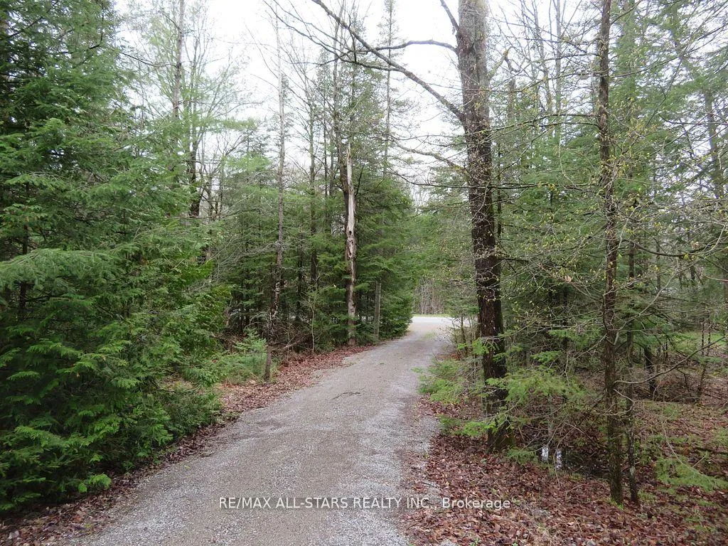 Photo 3 of 33 Edwina Drive, Trent Lakes — HOMEH