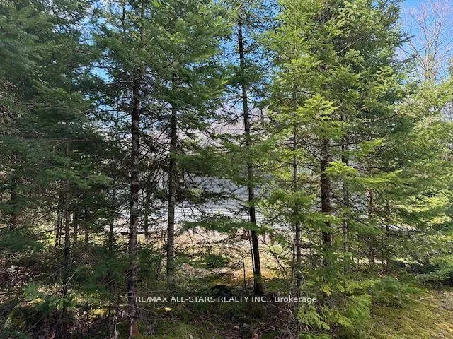 Photo 4 of 33 Edwina Drive, Trent Lakes — HOMEH